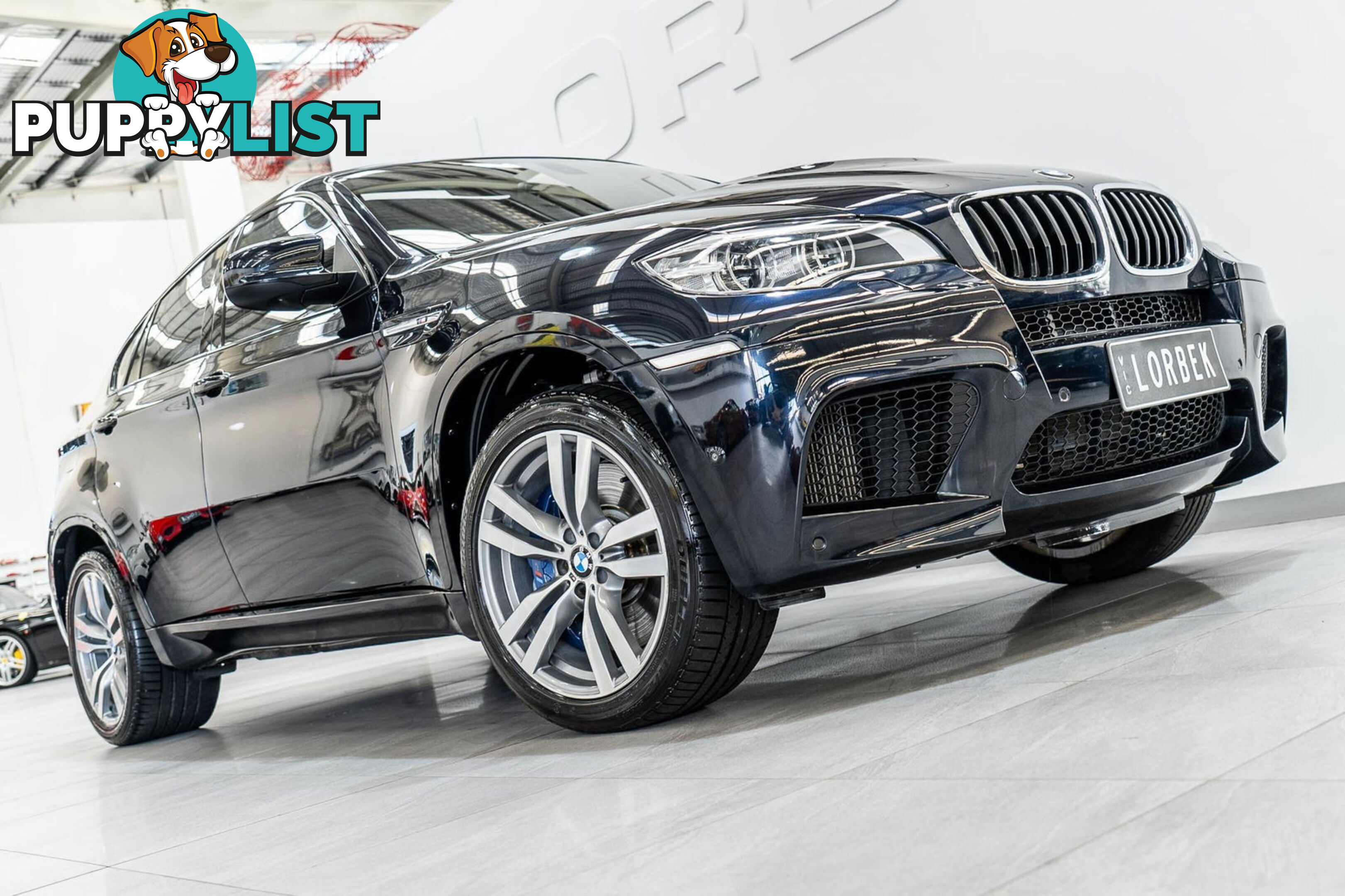 2012 BMW X6 M E71 MY12