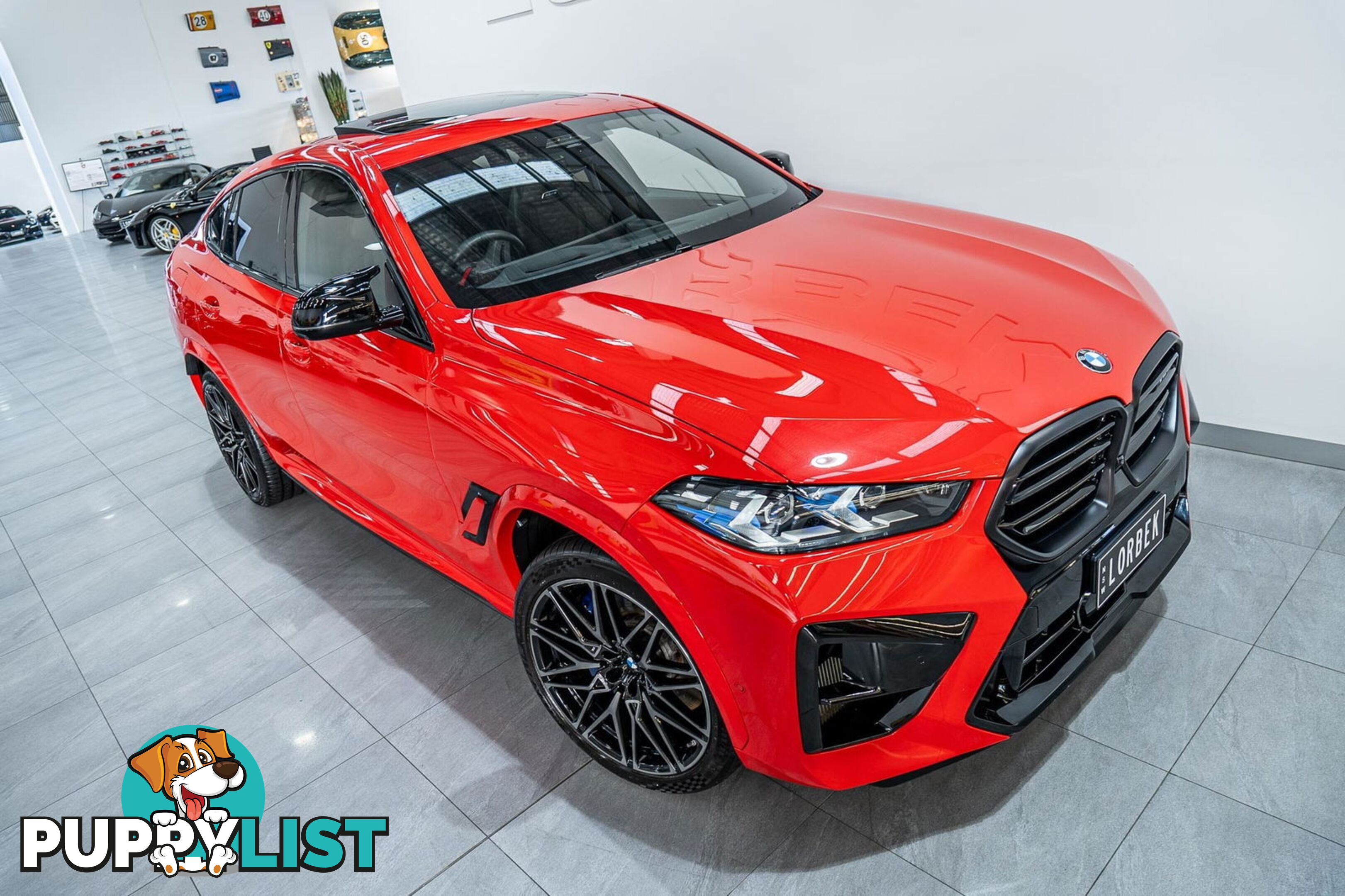 2023 BMW X6 M Competition F96 LCI