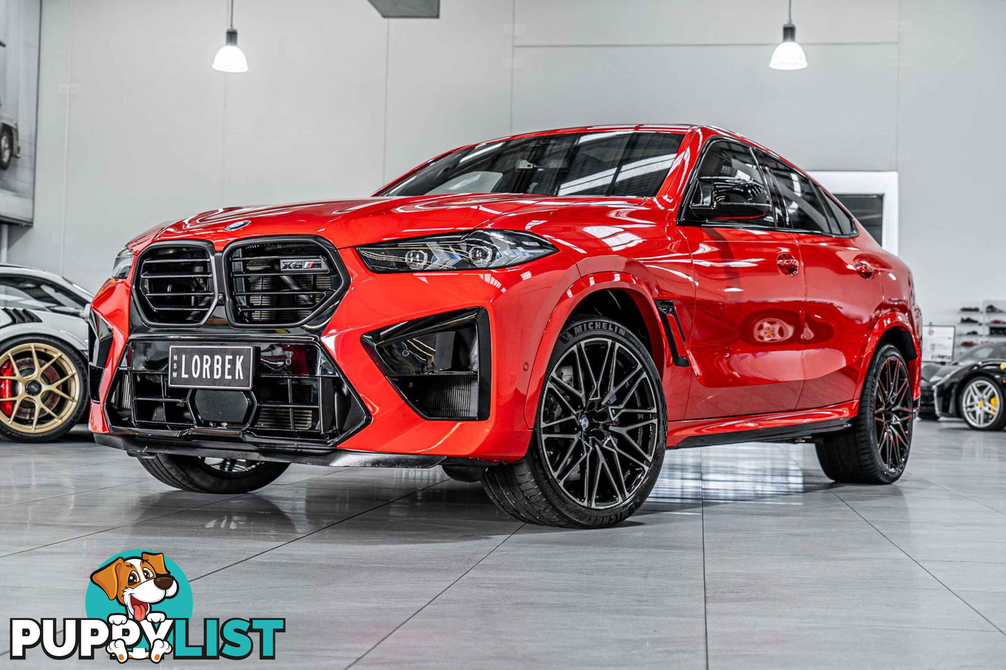 2023 BMW X6 M Competition F96 LCI