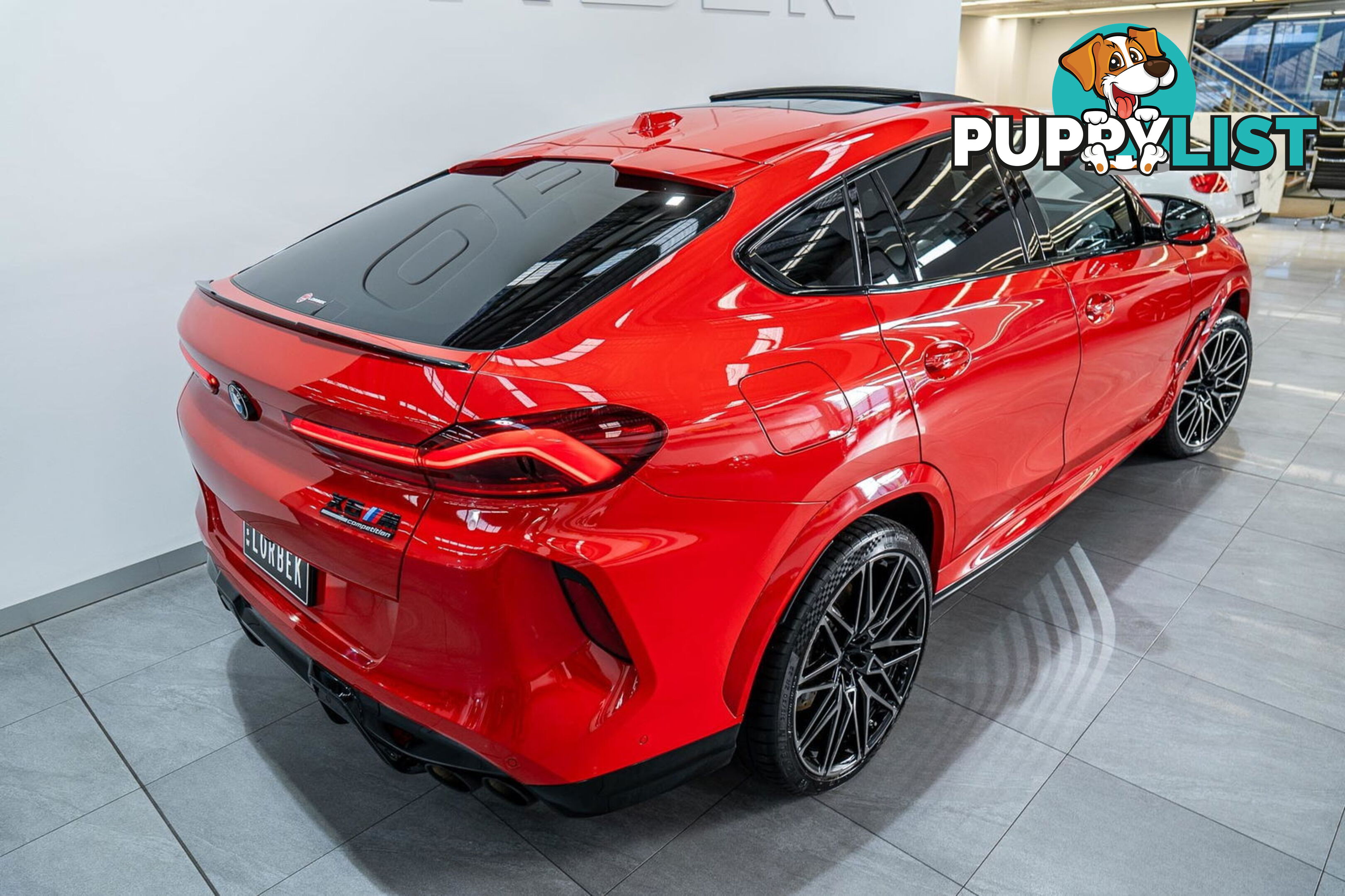 2023 BMW X6 M Competition F96 LCI