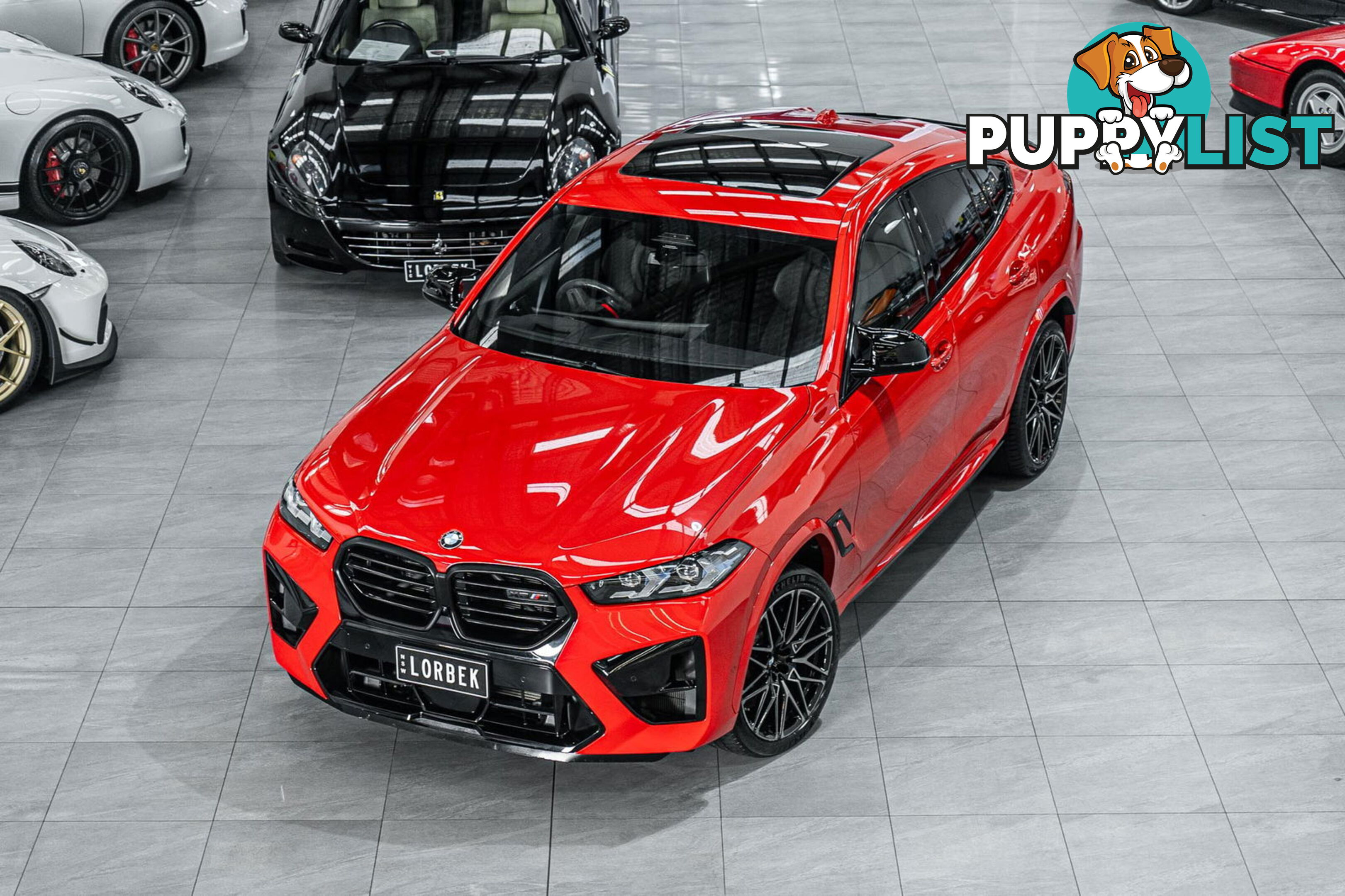 2023 BMW X6 M Competition F96 LCI