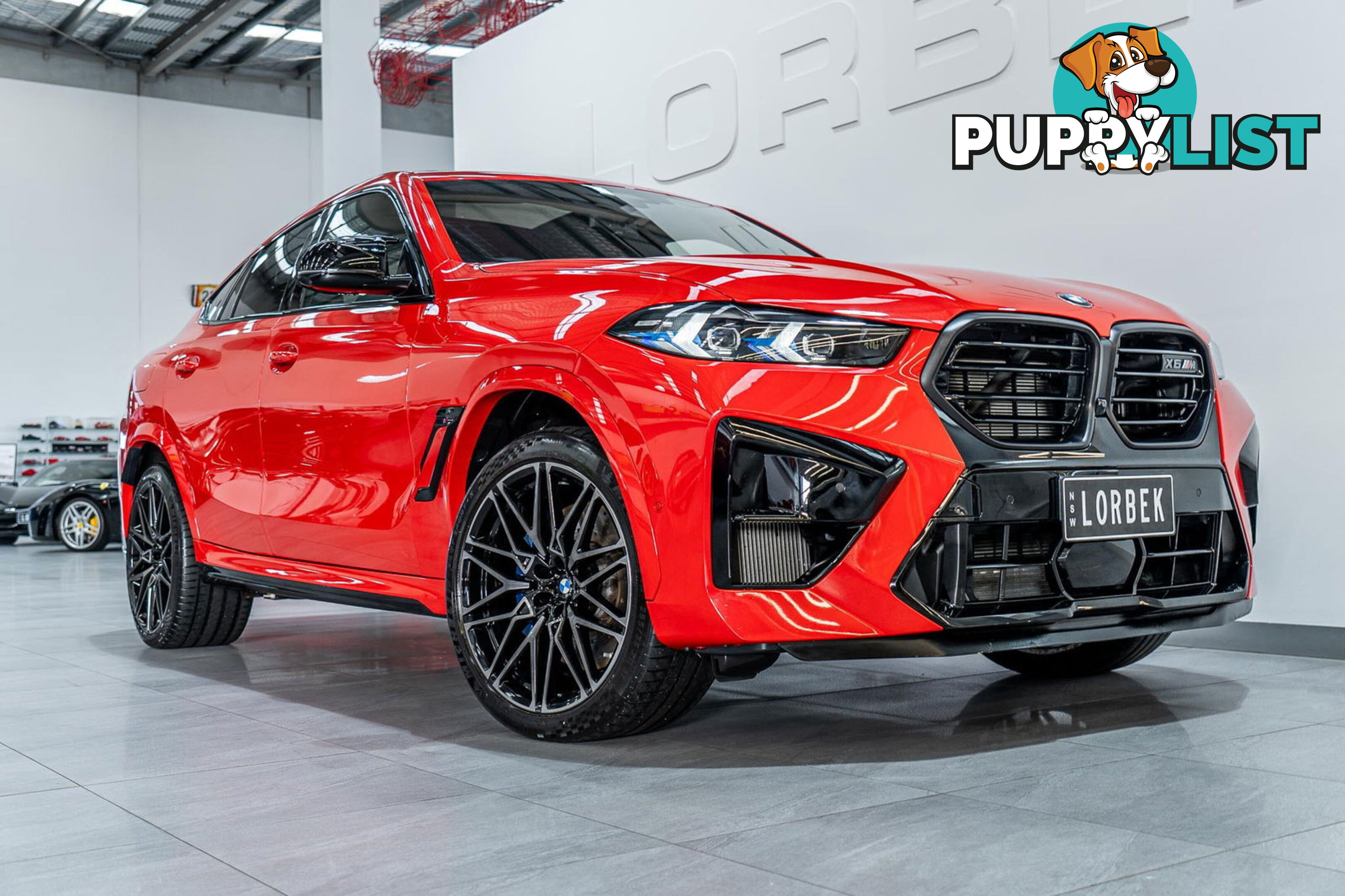 2023 BMW X6 M Competition F96 LCI