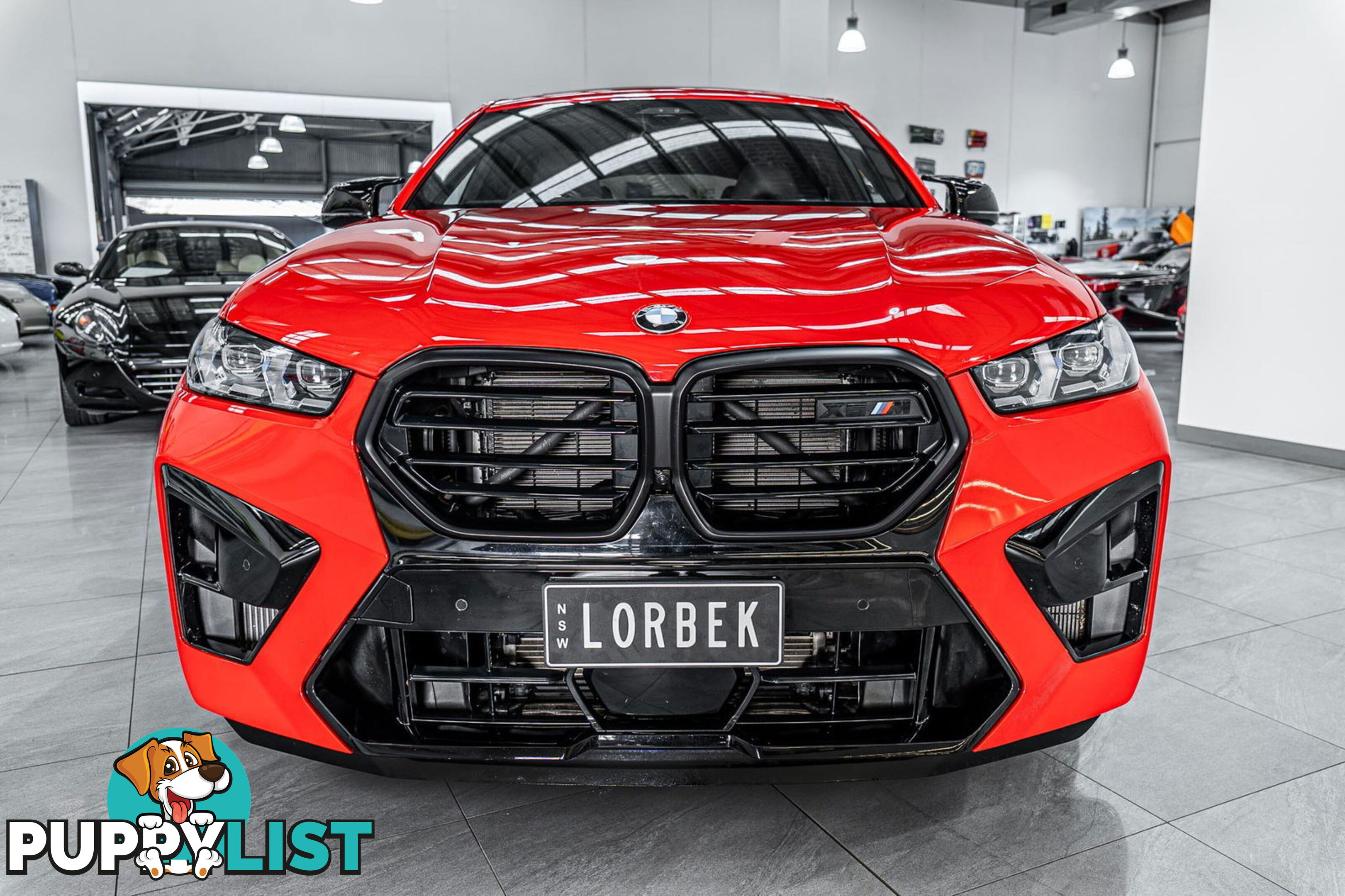 2023 BMW X6 M Competition F96 LCI