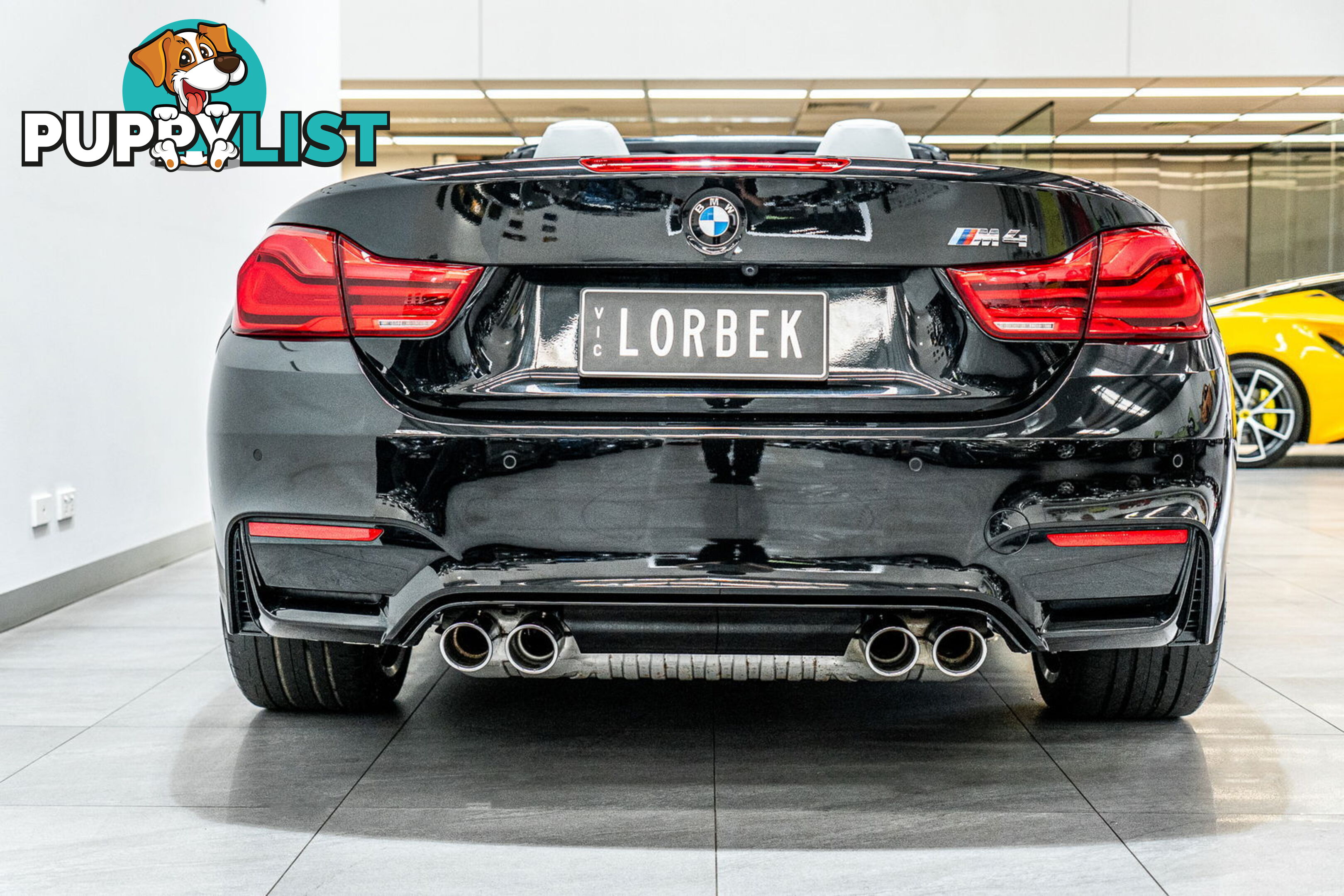 2019 BMW M4 LCI  F83 LCI MY18