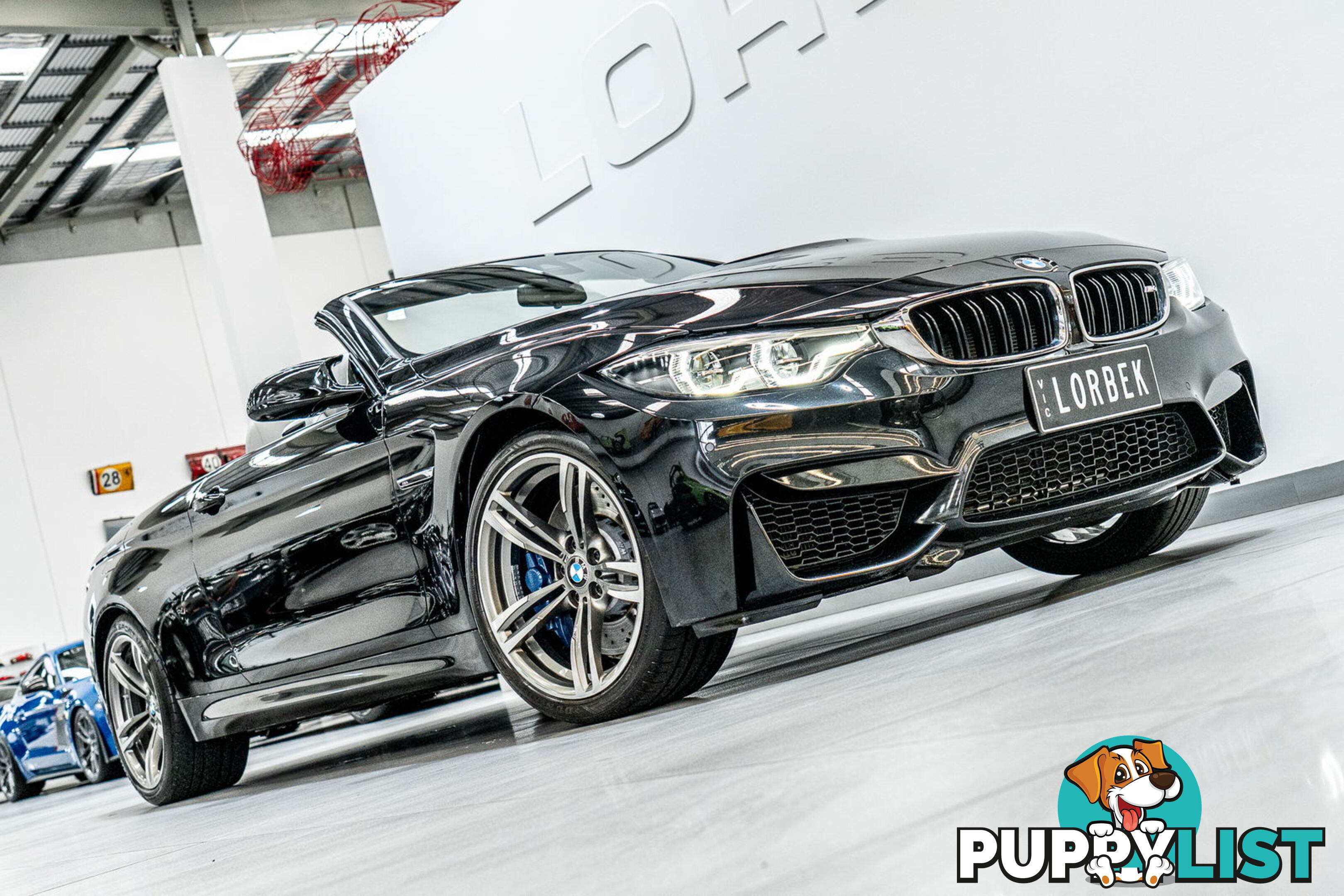 2019 BMW M4 LCI  F83 LCI MY18