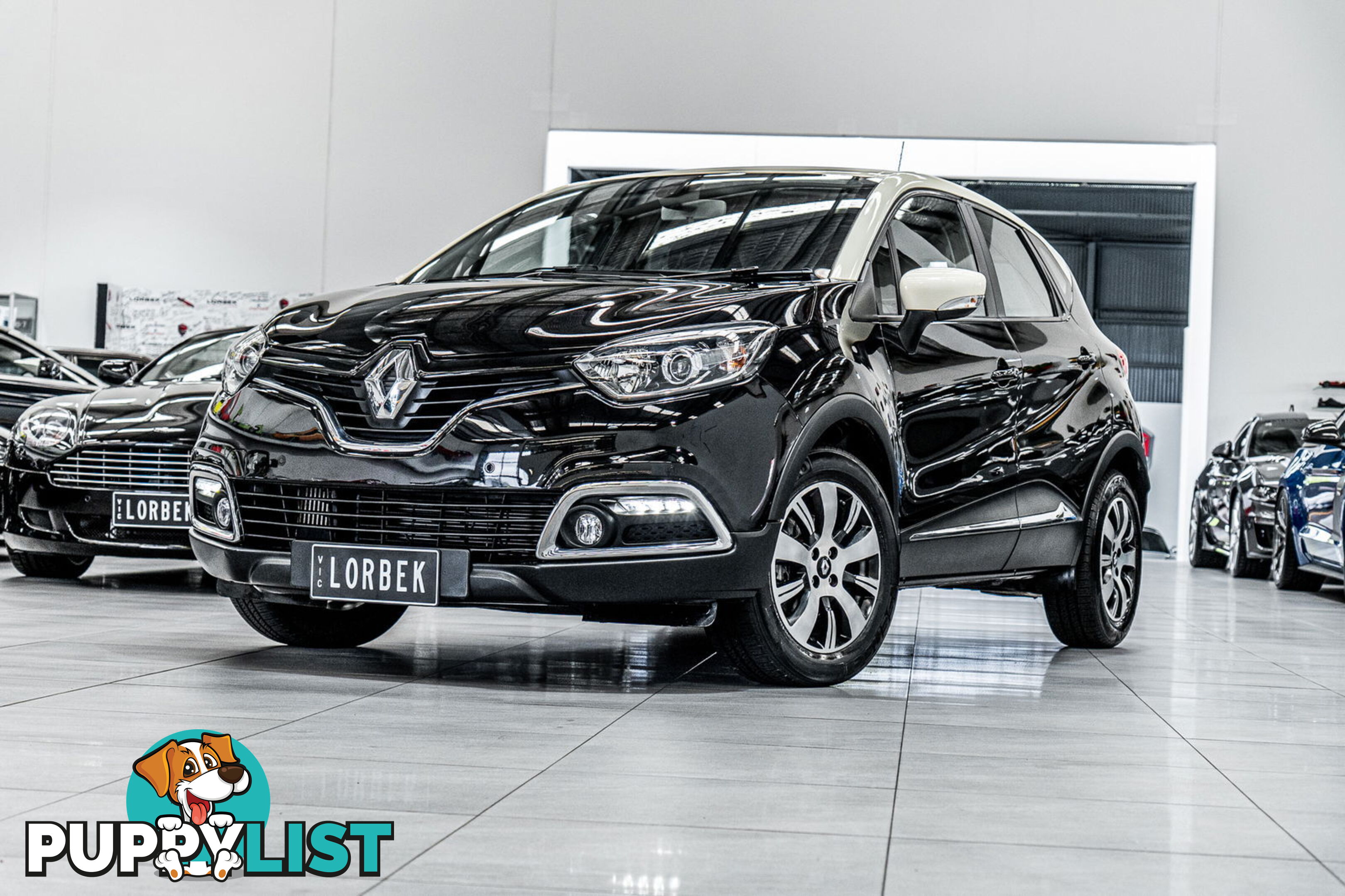 2015 Renault Captur Expression J87