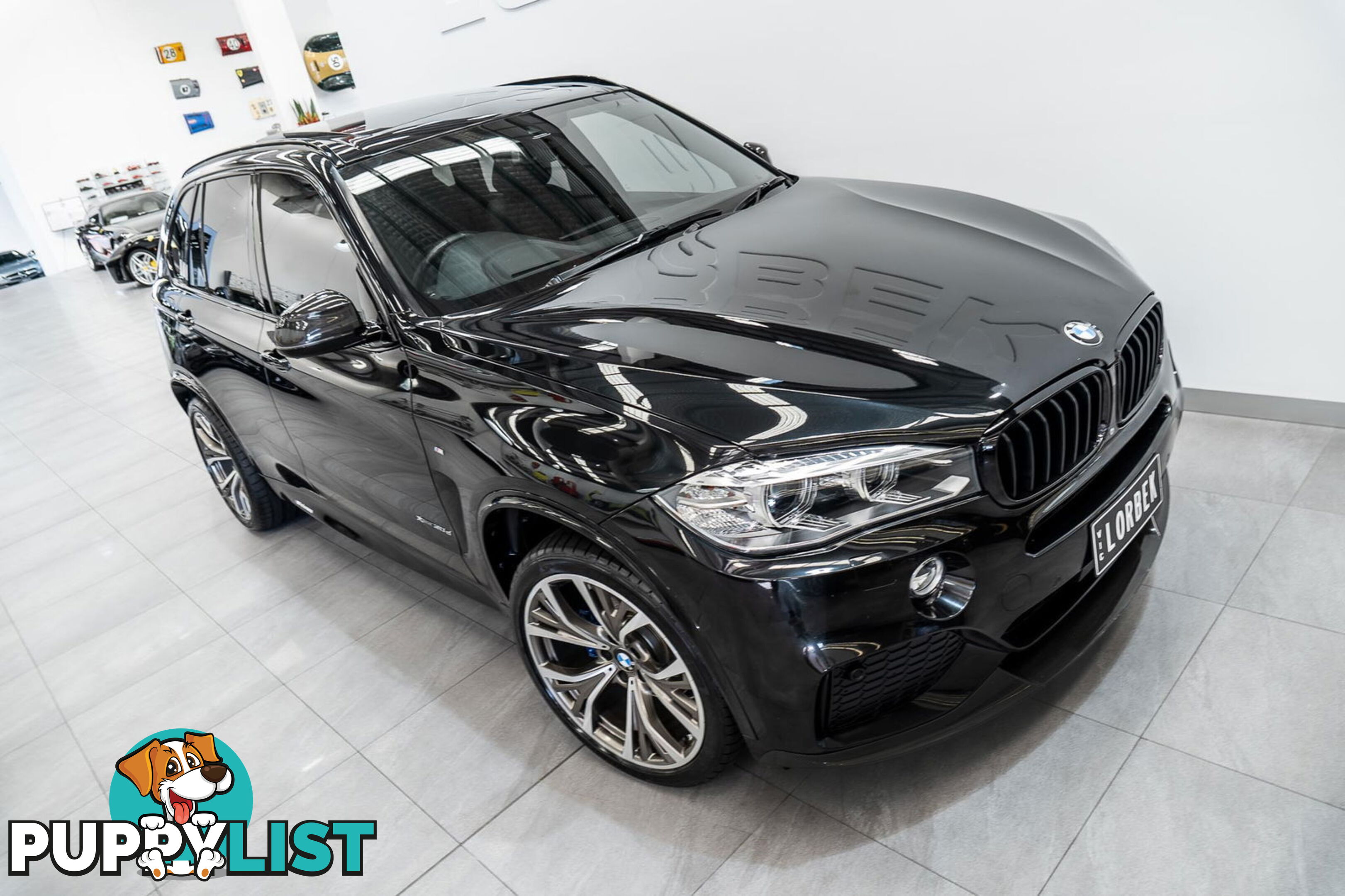 2016 BMW X5 xDrive30d F15 MY16