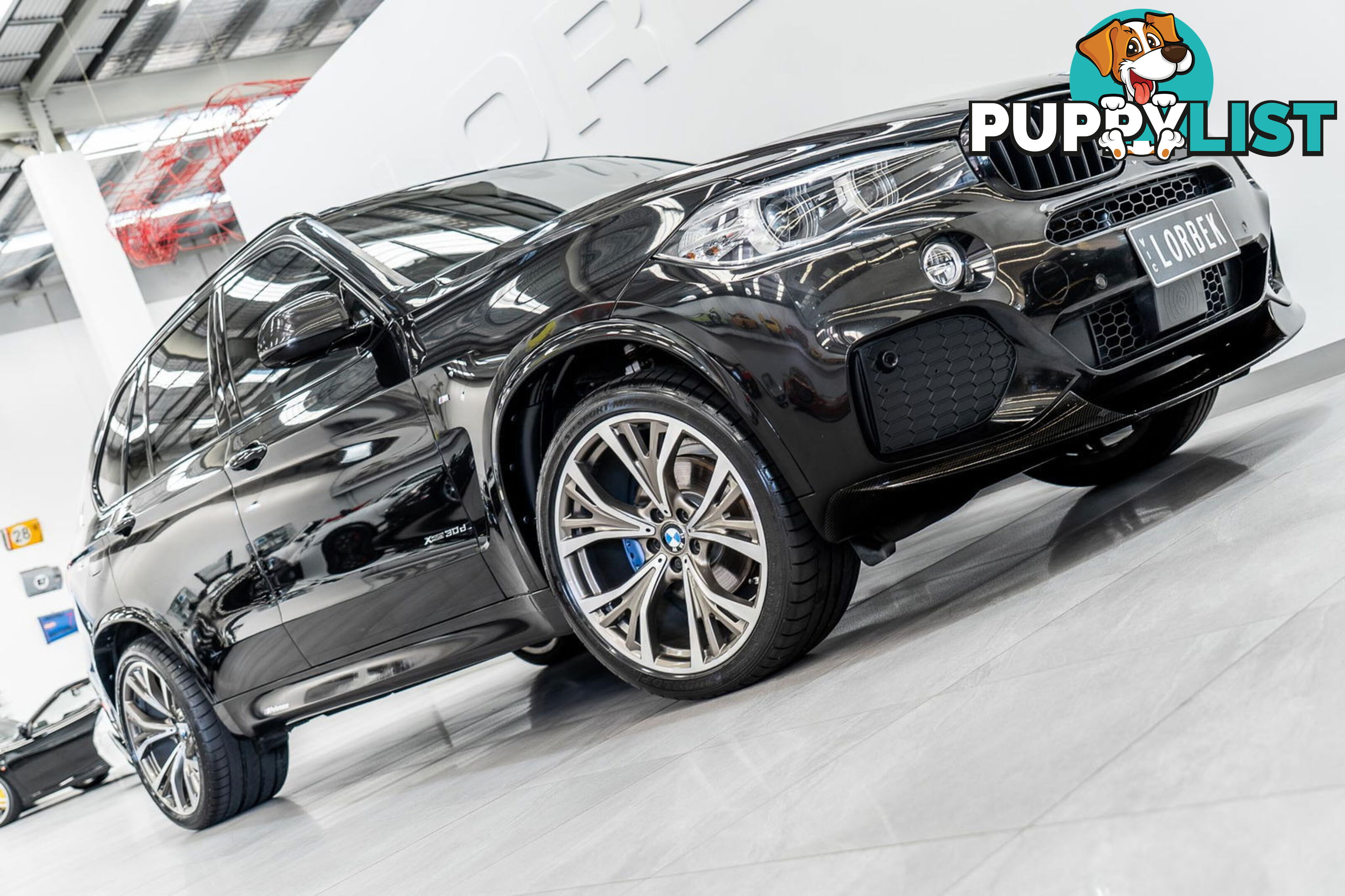 2016 BMW X5 xDrive30d F15 MY16