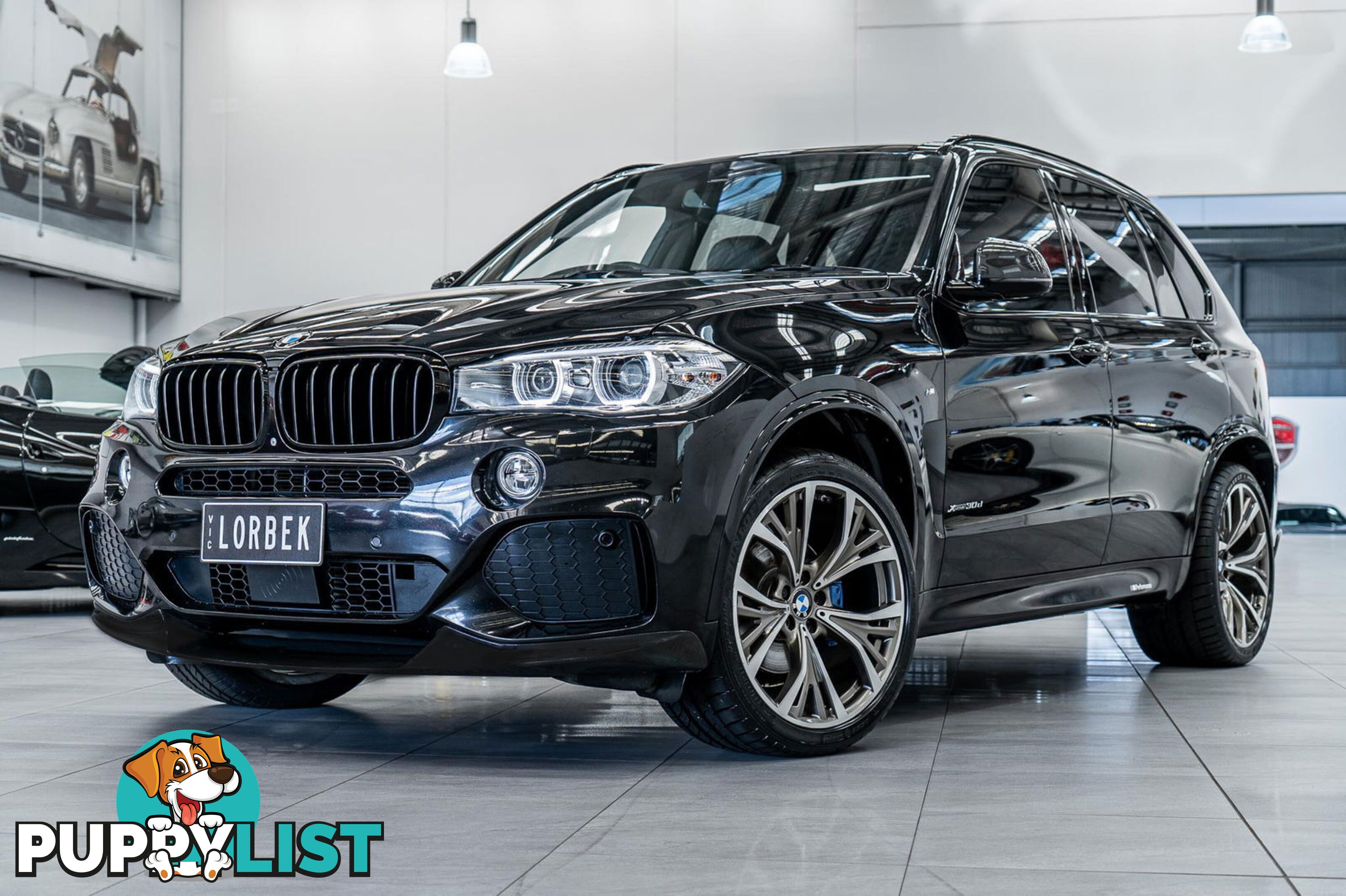 2016 BMW X5 xDrive30d F15 MY16