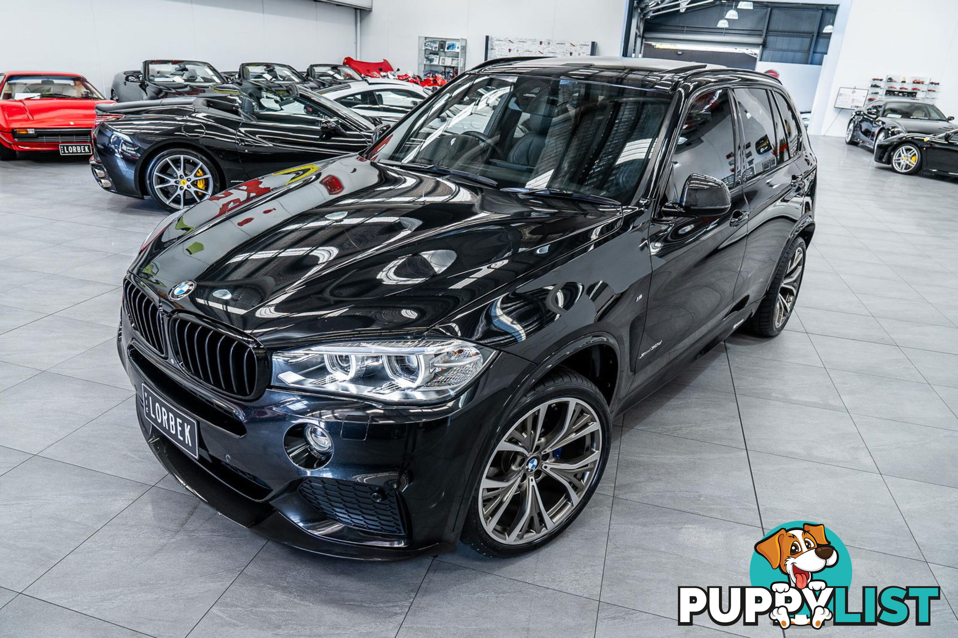 2016 BMW X5 xDrive30d F15 MY16