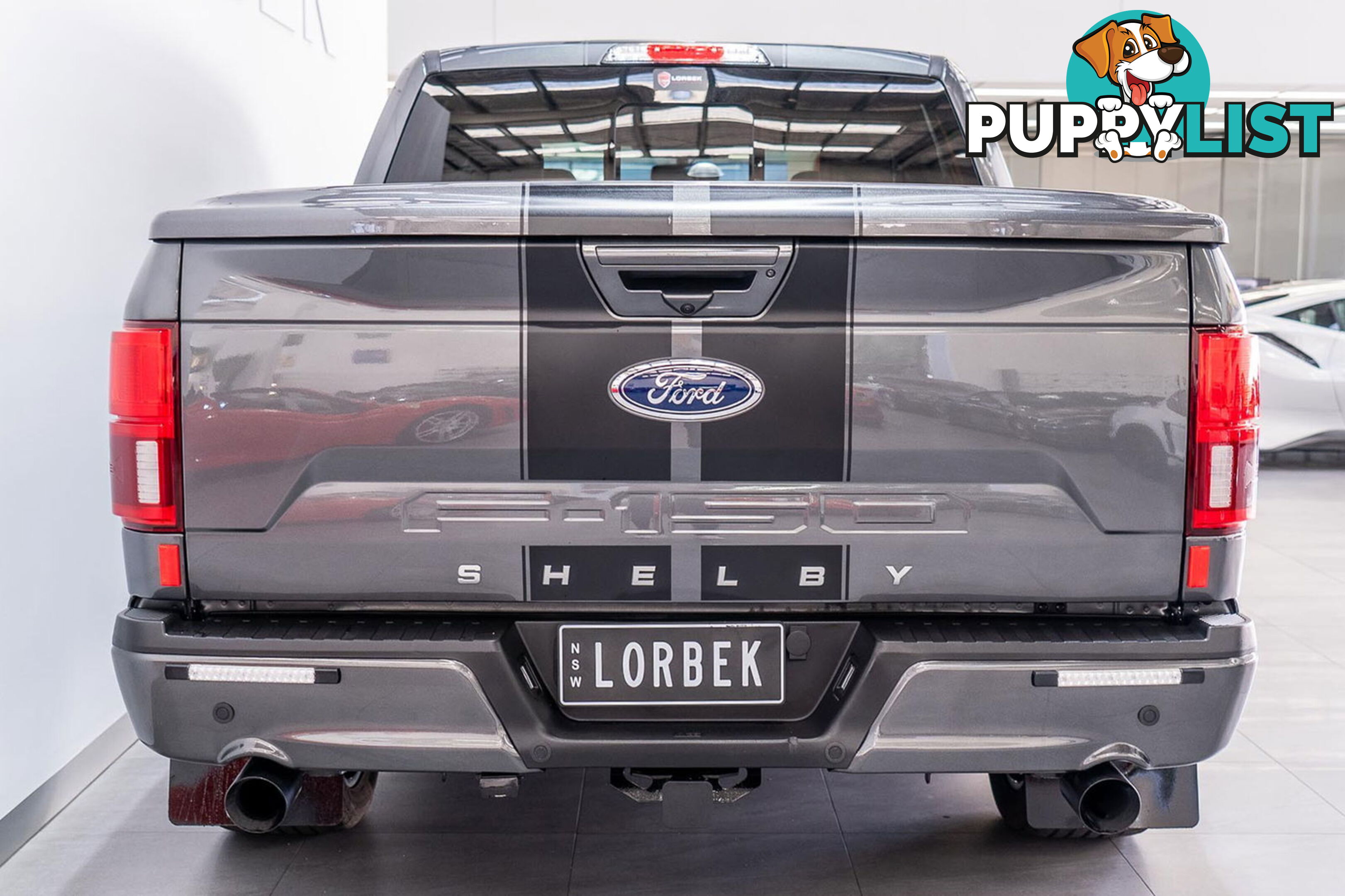 2020 Ford F150 Shelby Supersnake 