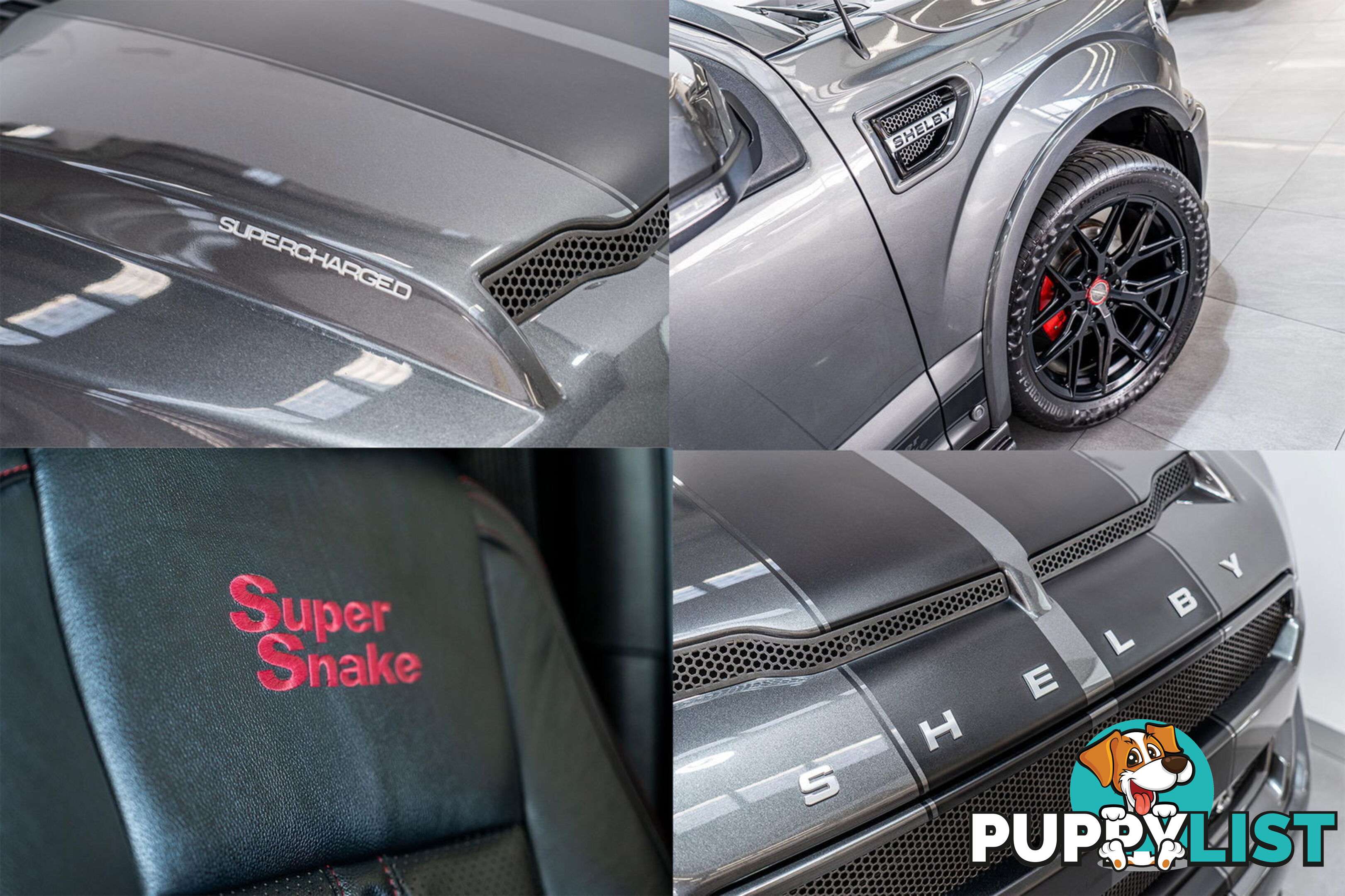 2020 Ford F150 Shelby Supersnake 