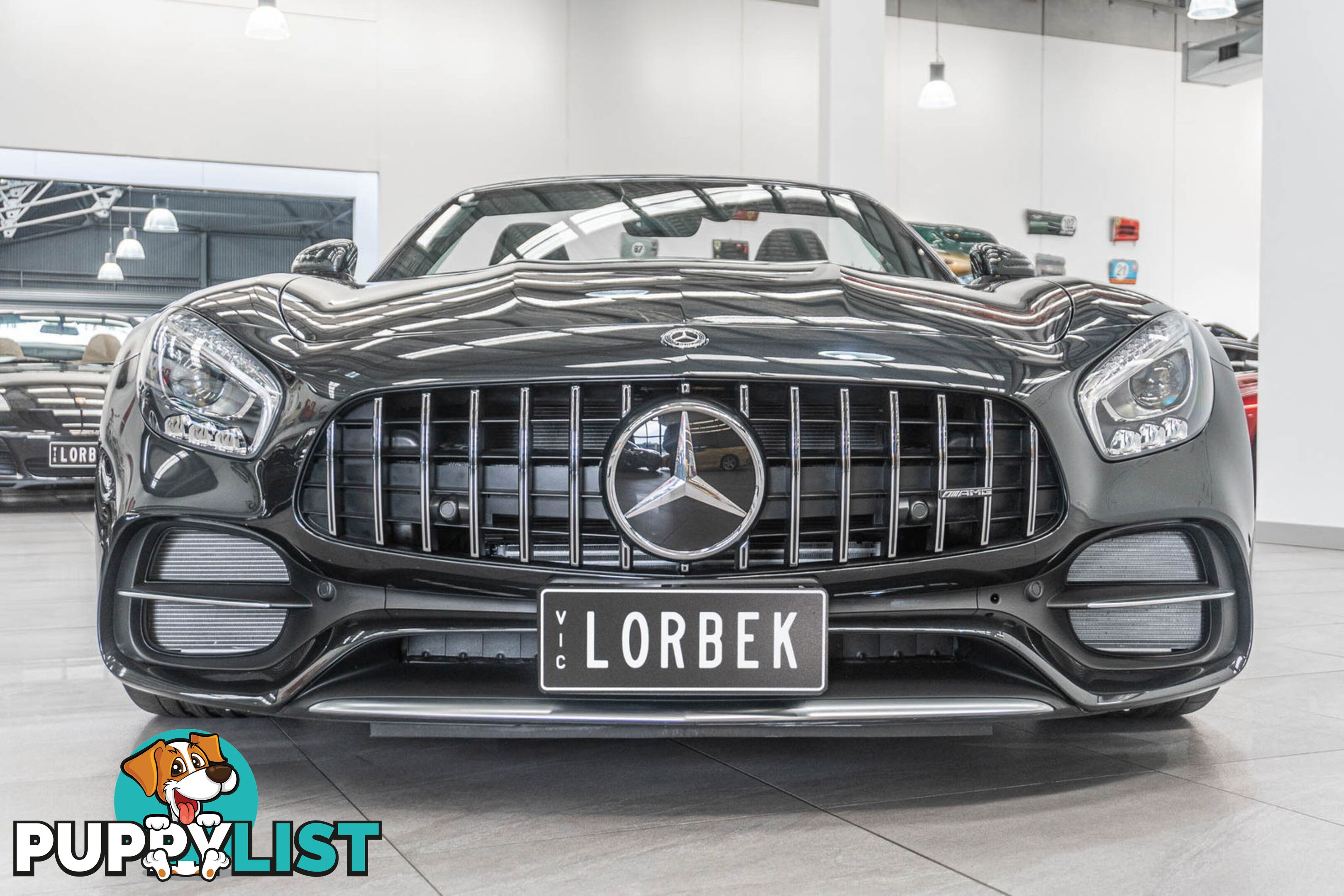 2017 Mercedes-AMG GT C 190 MY17.5