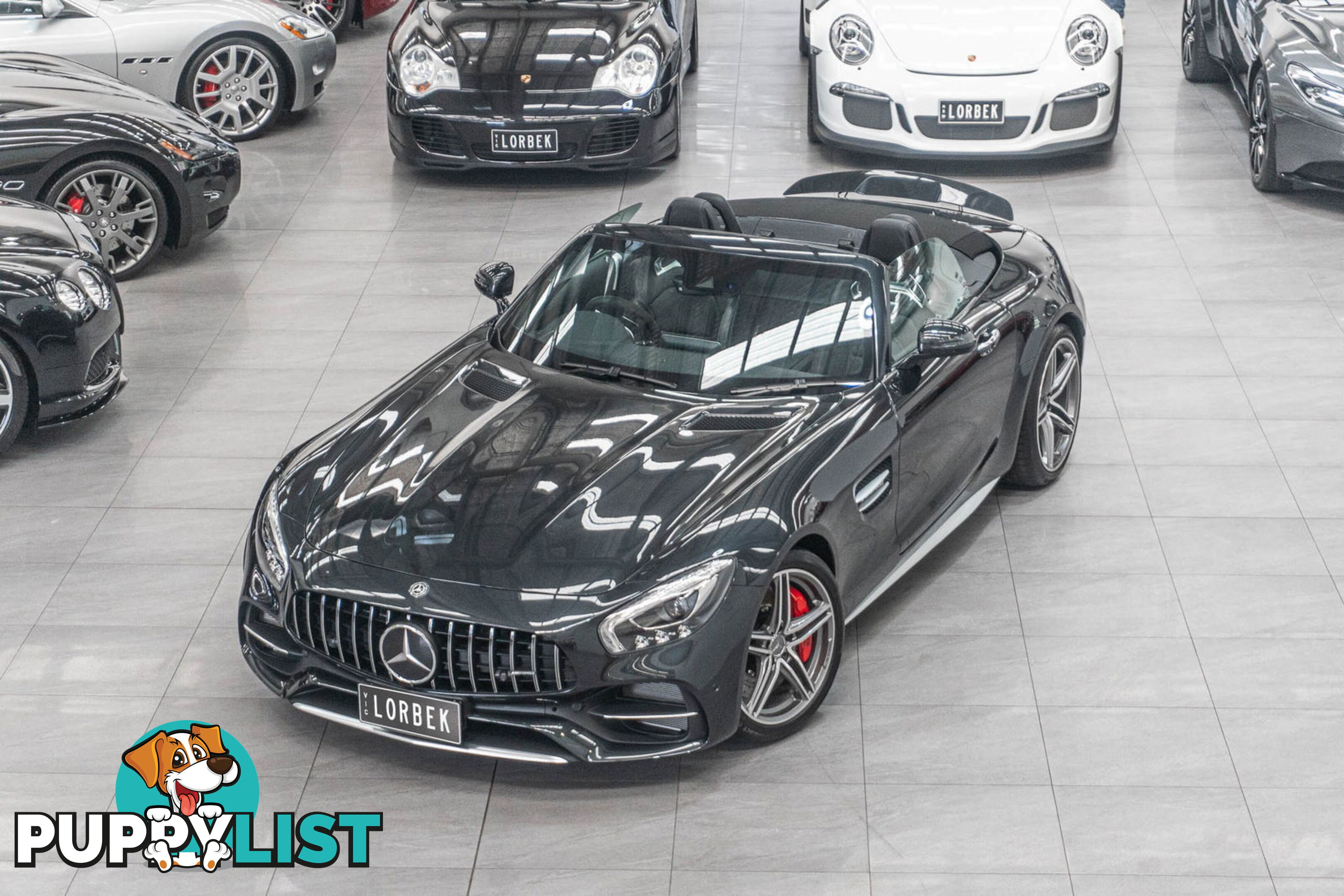 2017 Mercedes-AMG GT C 190 MY17.5