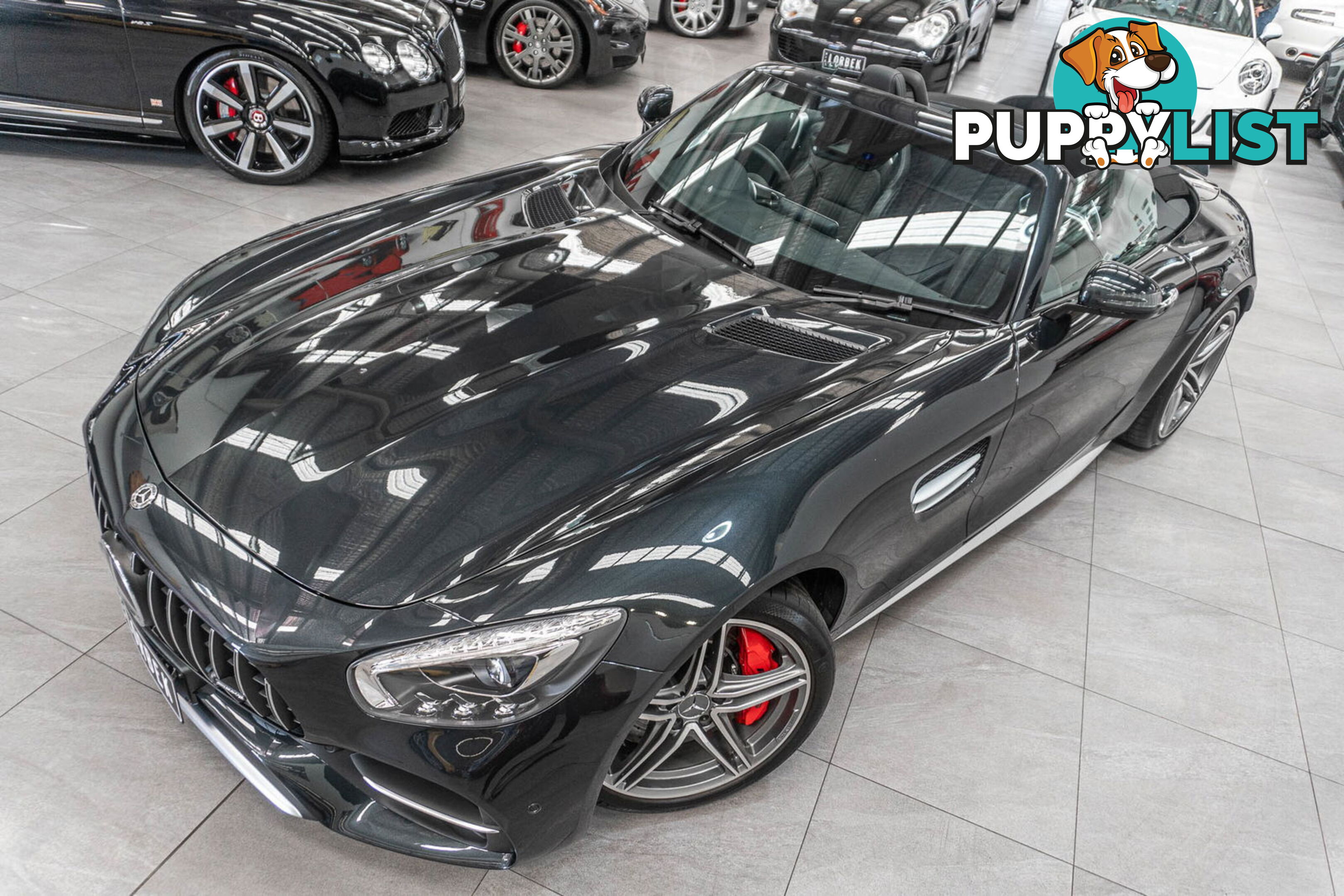 2017 Mercedes-AMG GT C 190 MY17.5
