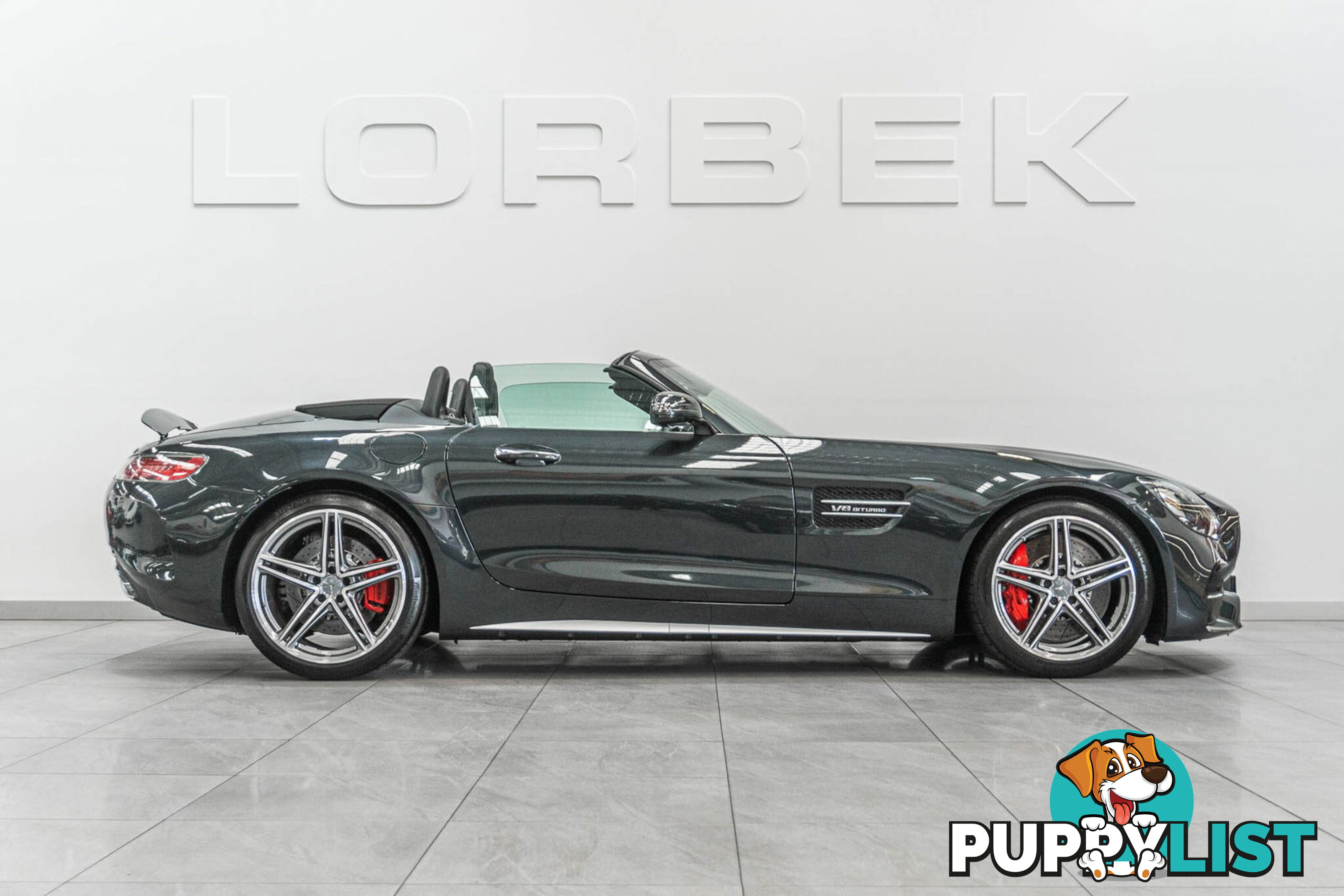 2017 Mercedes-AMG GT C 190 MY17.5