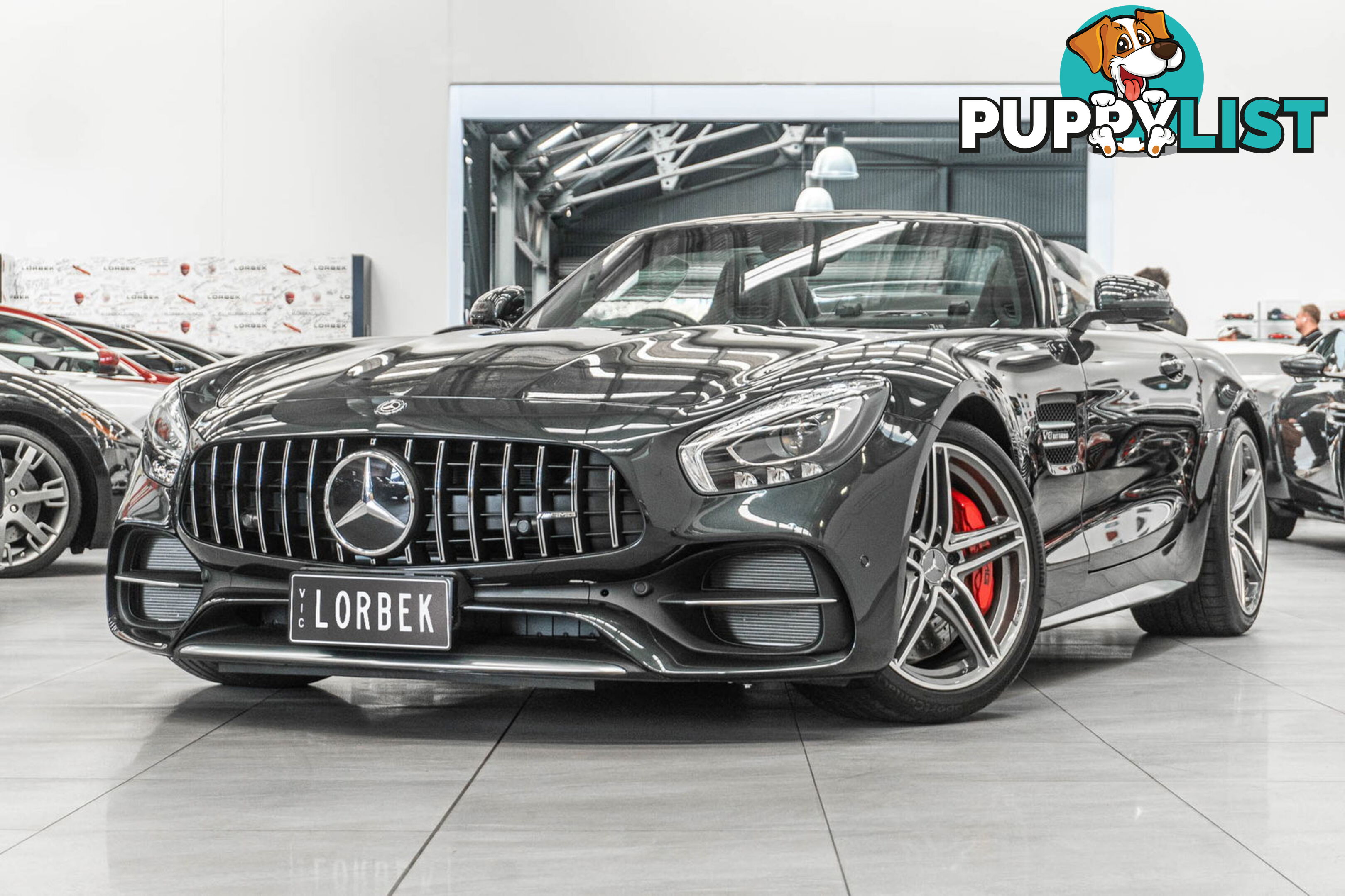 2017 Mercedes-AMG GT C 190 MY17.5