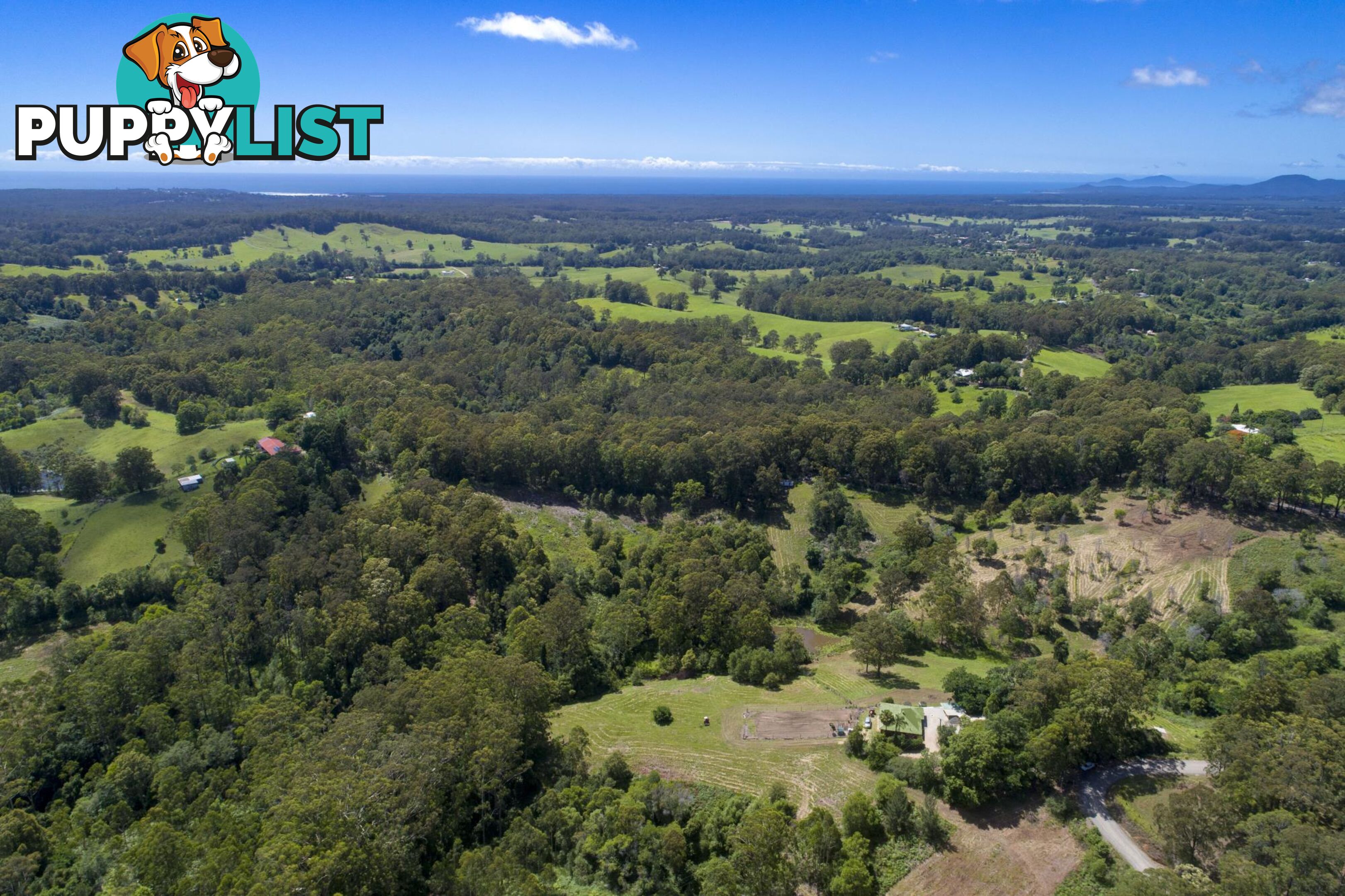 388 Newee Creek Road NEWEE CREEK NSW 2447