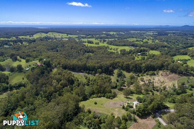 388 Newee Creek Road NEWEE CREEK NSW 2447