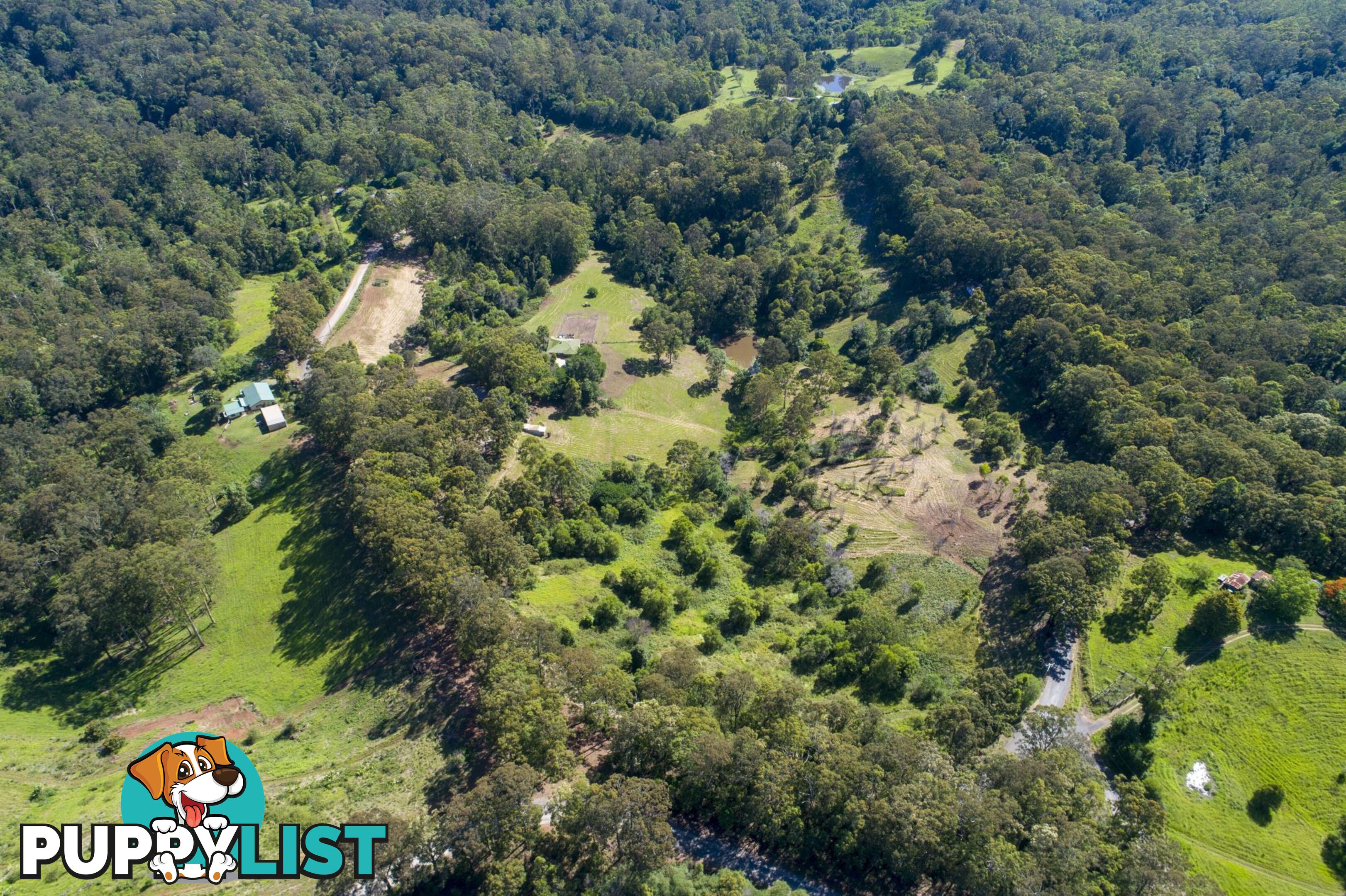 388 Newee Creek Road NEWEE CREEK NSW 2447