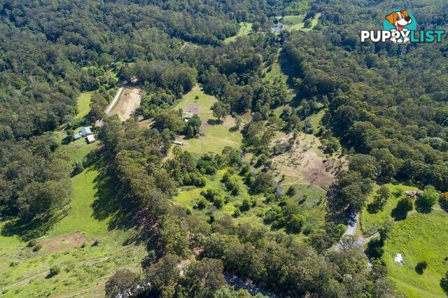 388 Newee Creek Road NEWEE CREEK NSW 2447