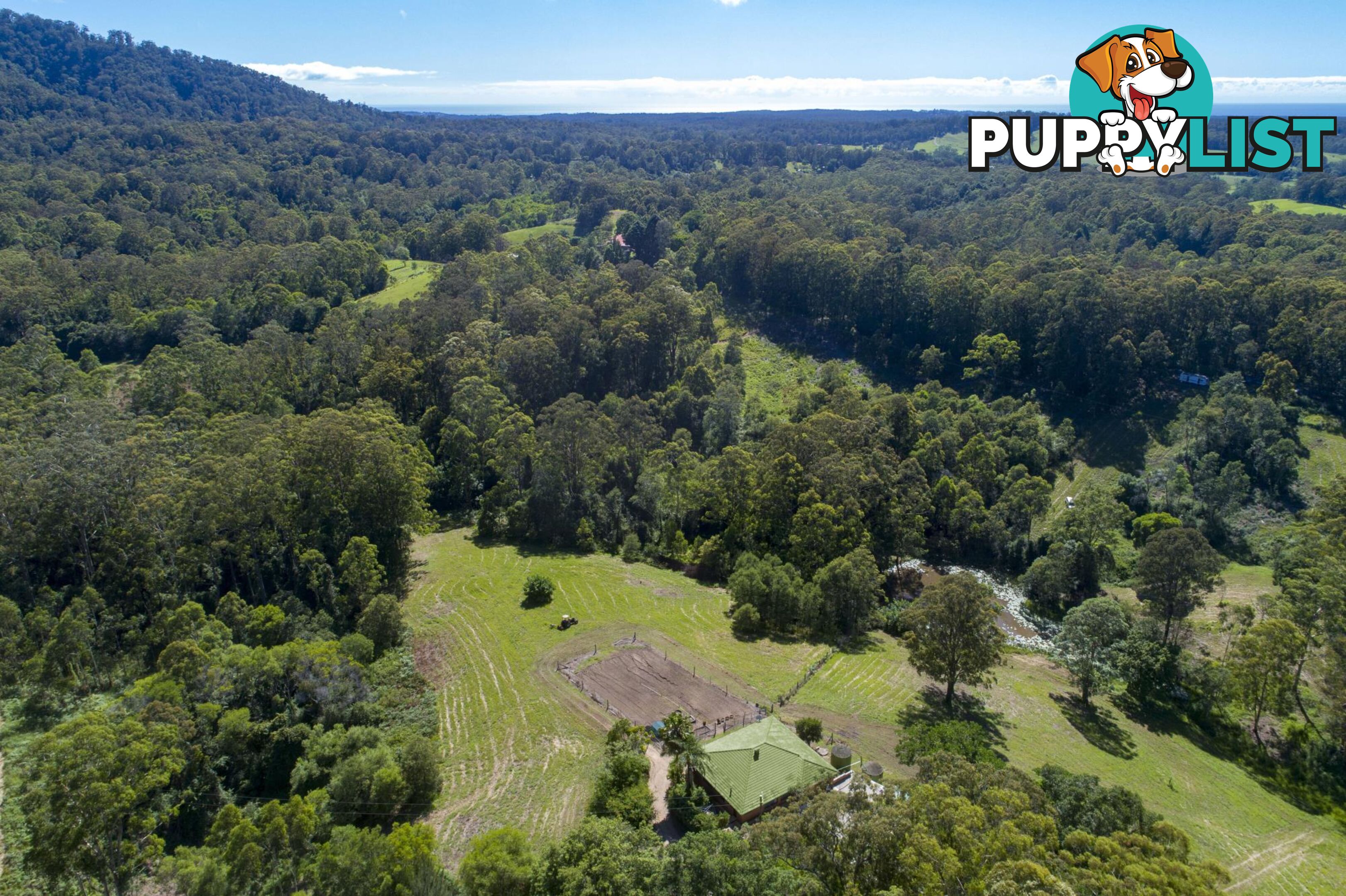 388 Newee Creek Road NEWEE CREEK NSW 2447