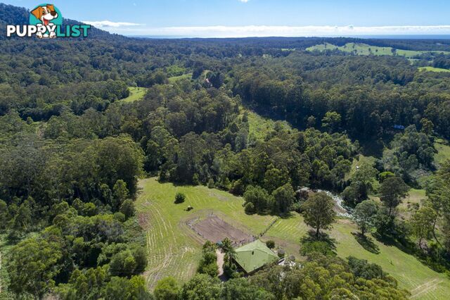 388 Newee Creek Road NEWEE CREEK NSW 2447