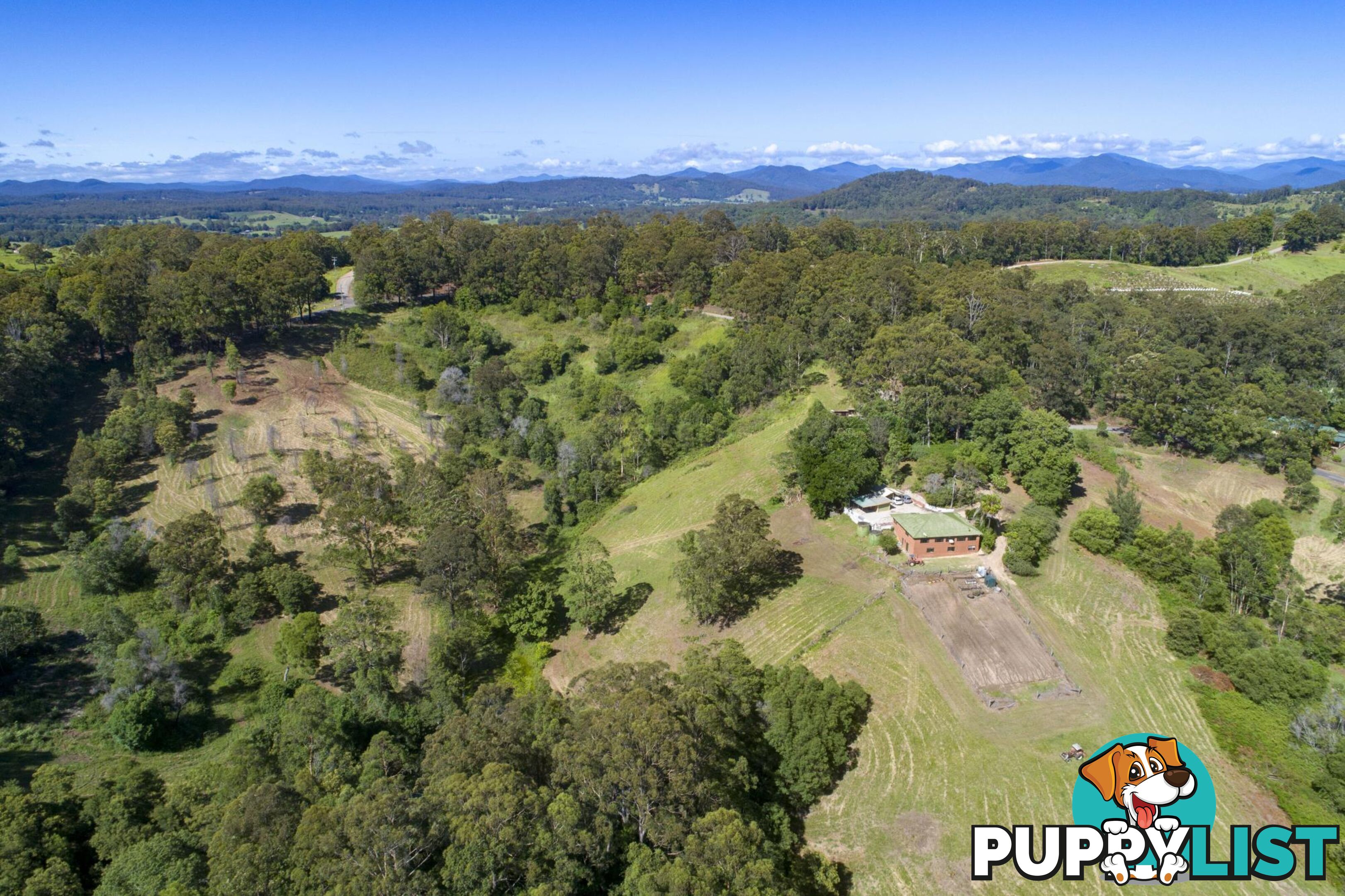 388 Newee Creek Road NEWEE CREEK NSW 2447