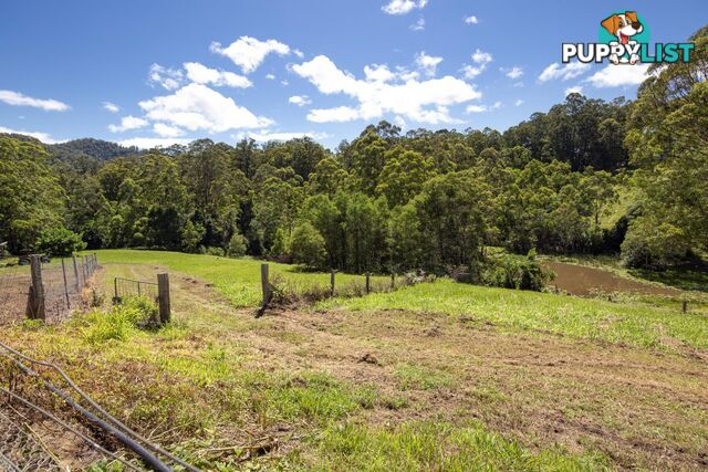 388 Newee Creek Road NEWEE CREEK NSW 2447