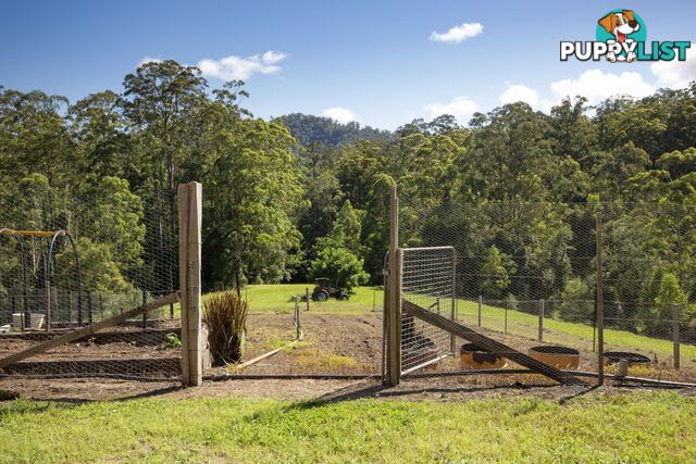 388 Newee Creek Road NEWEE CREEK NSW 2447