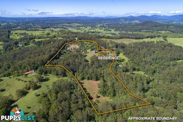 388 Newee Creek Road NEWEE CREEK NSW 2447