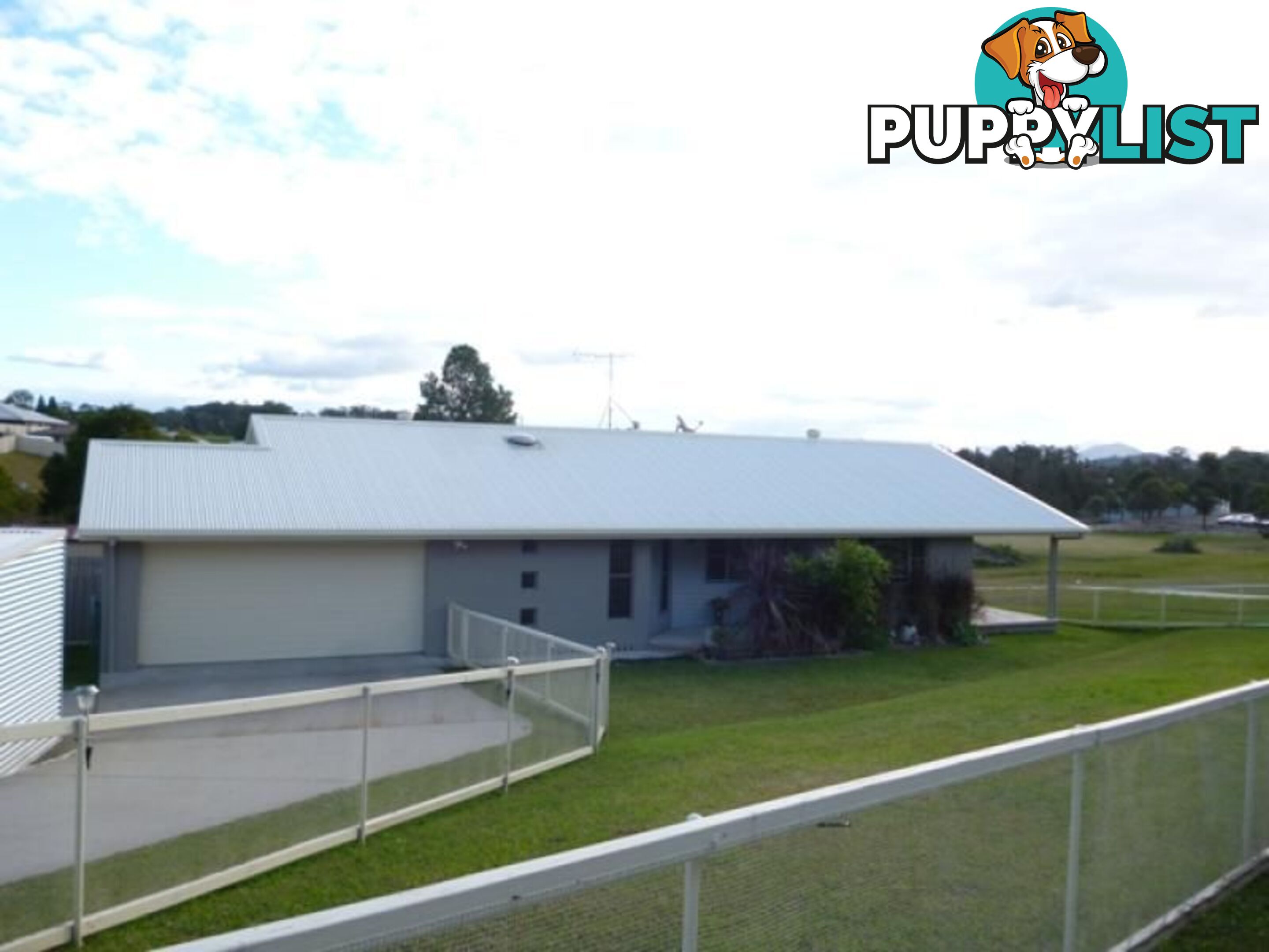 11 Grant Crescent MACKSVILLE NSW 2447