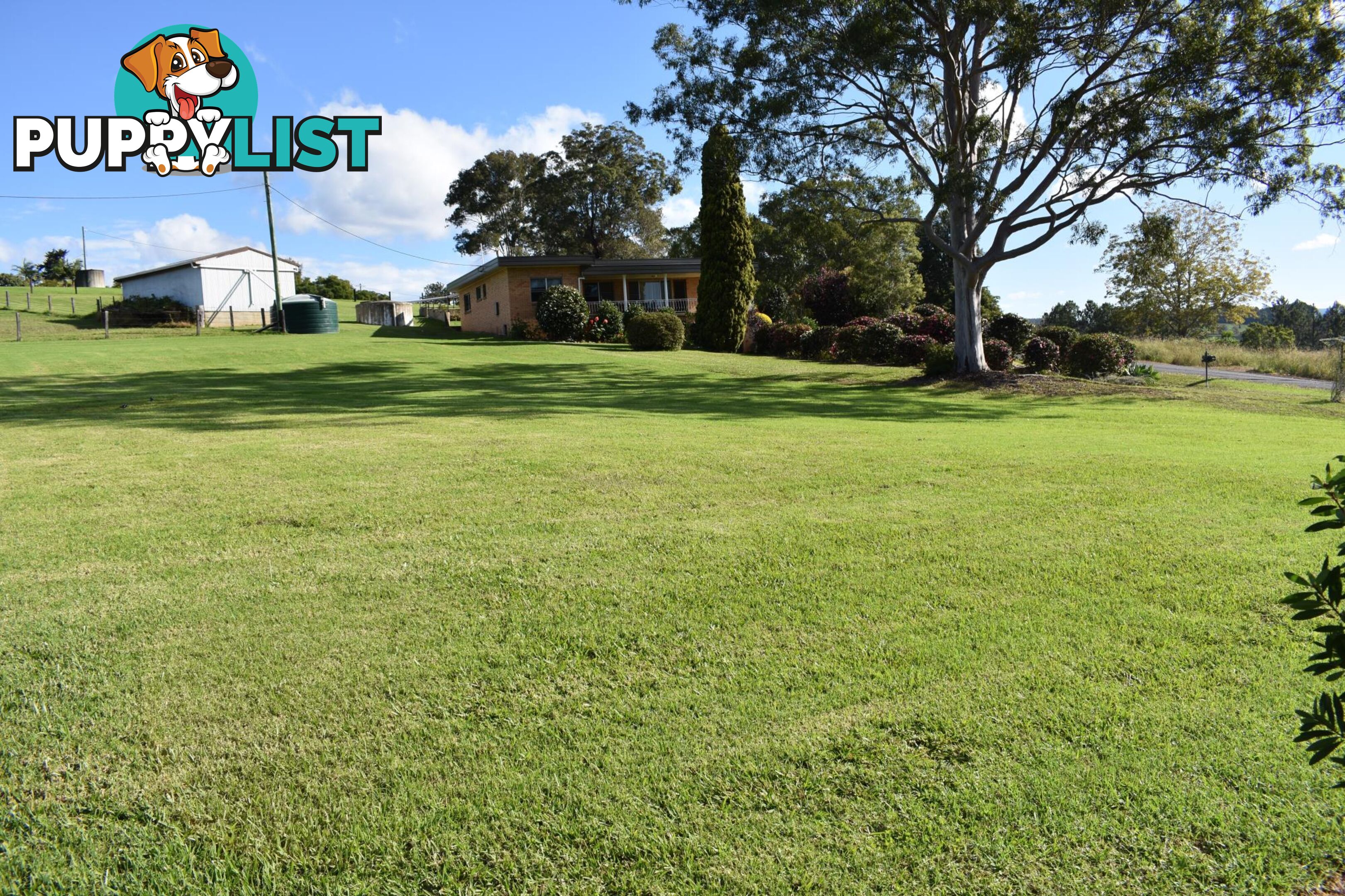 17 Albert Drive DONNELLYVILLE NSW 2447