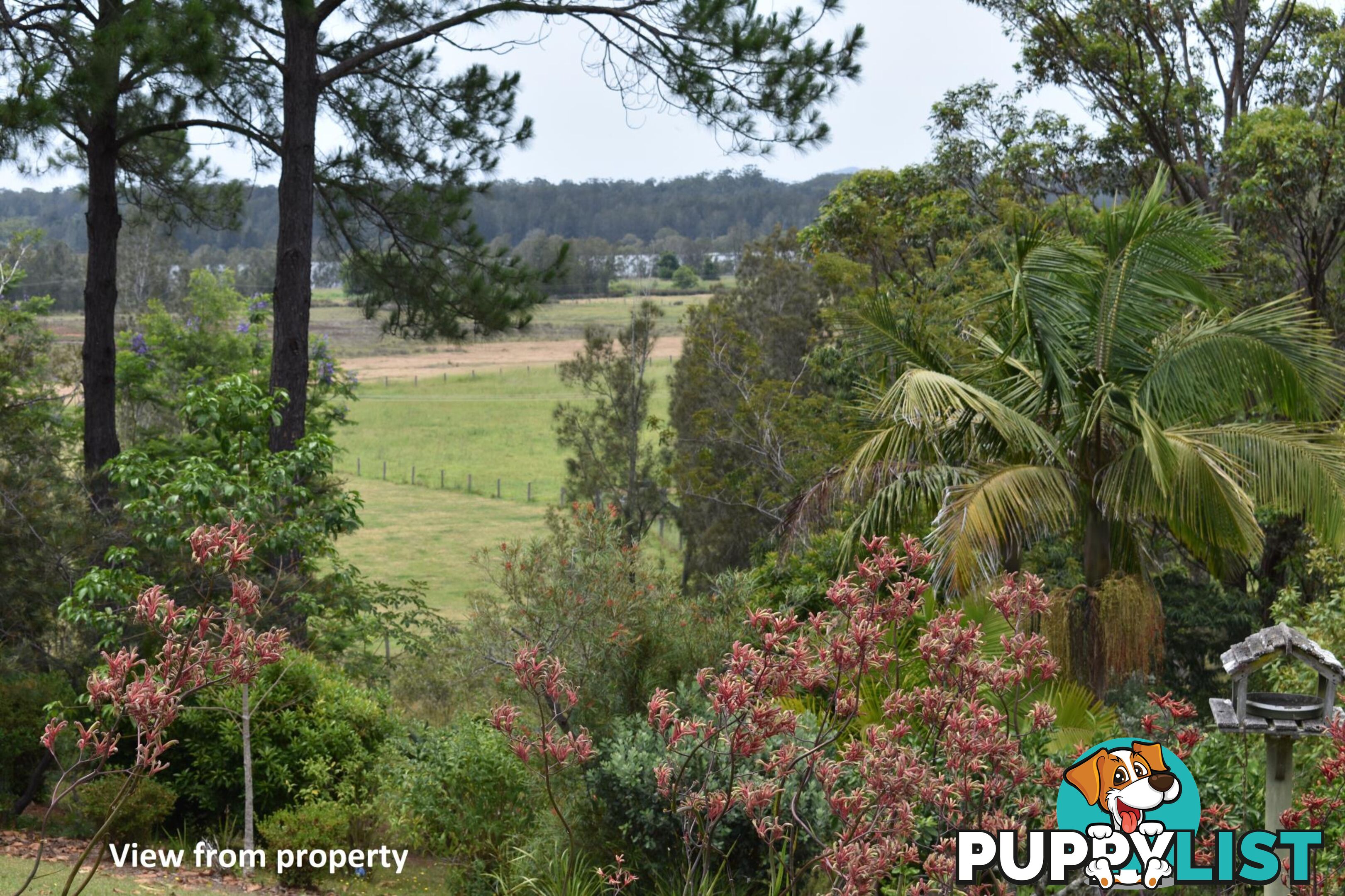 81 Florence Wilmont Drive NAMBUCCA HEADS NSW 2448