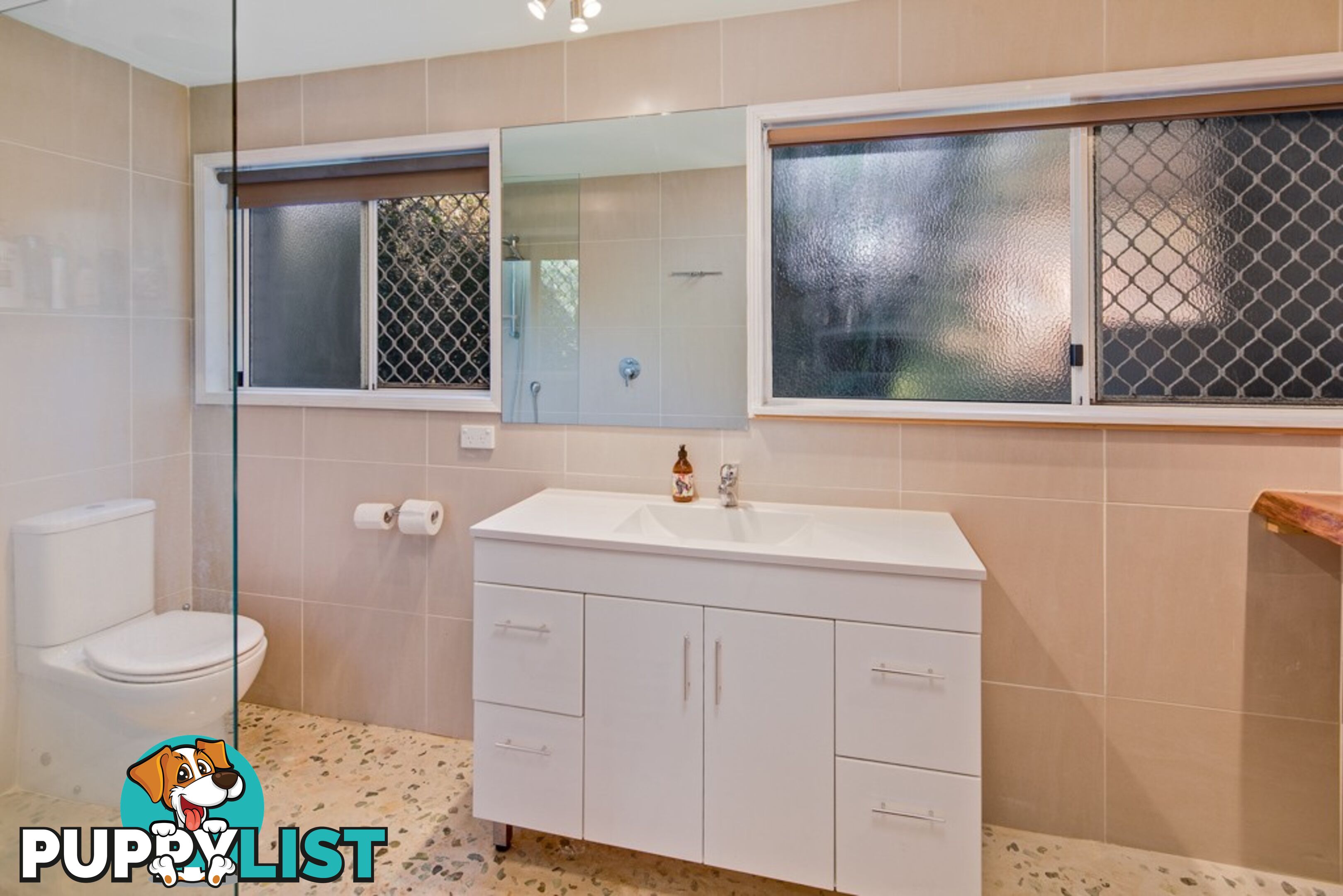9 Hope Street ORMISTON QLD 4160
