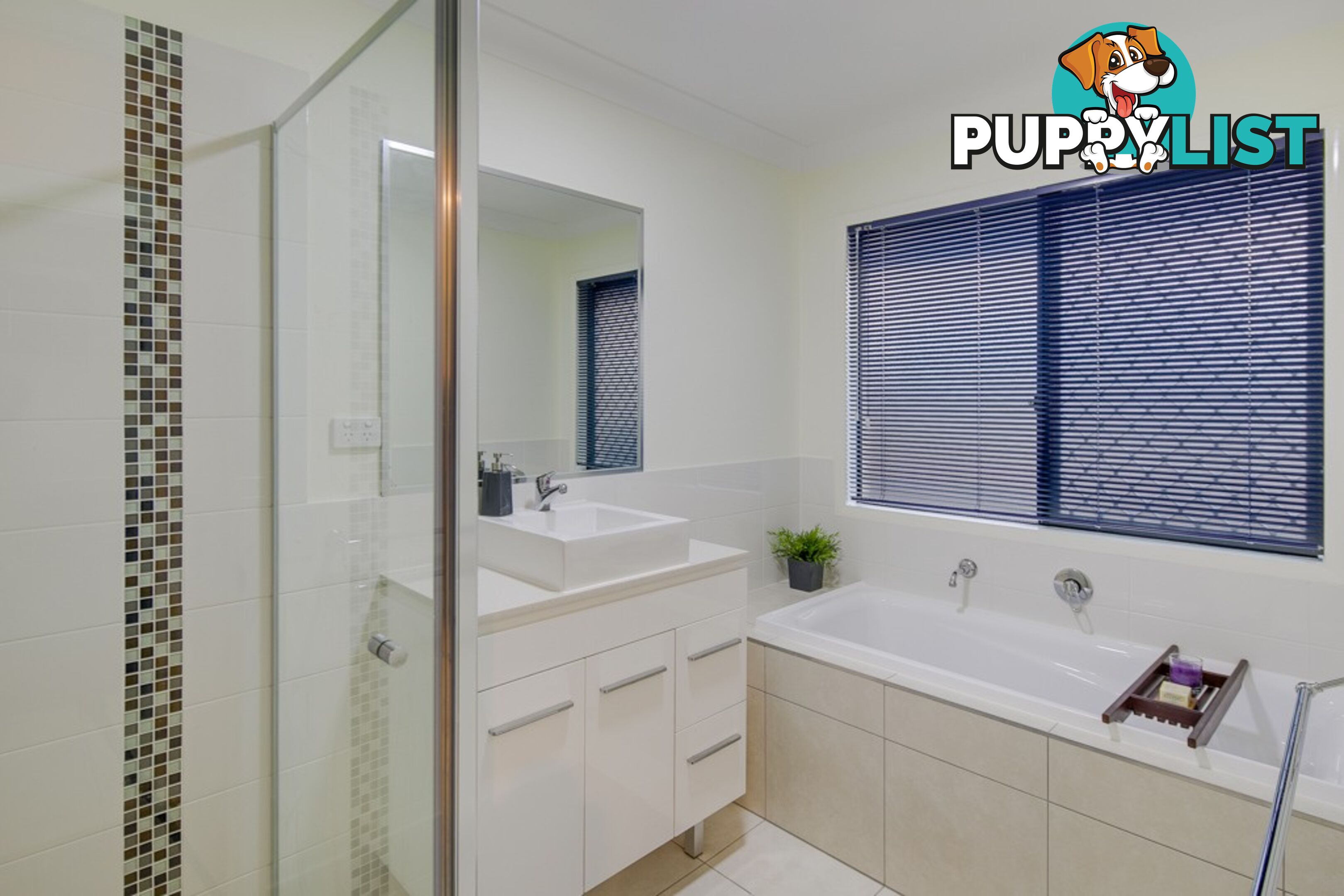 6 Brut Street MOUNT COTTON QLD 4165