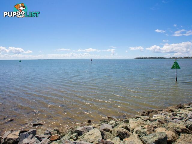 Lot 26 26 Somersby Court BIRKDALE QLD 4159
