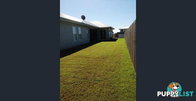 9 Somersby Court BIRKDALE QLD 4159