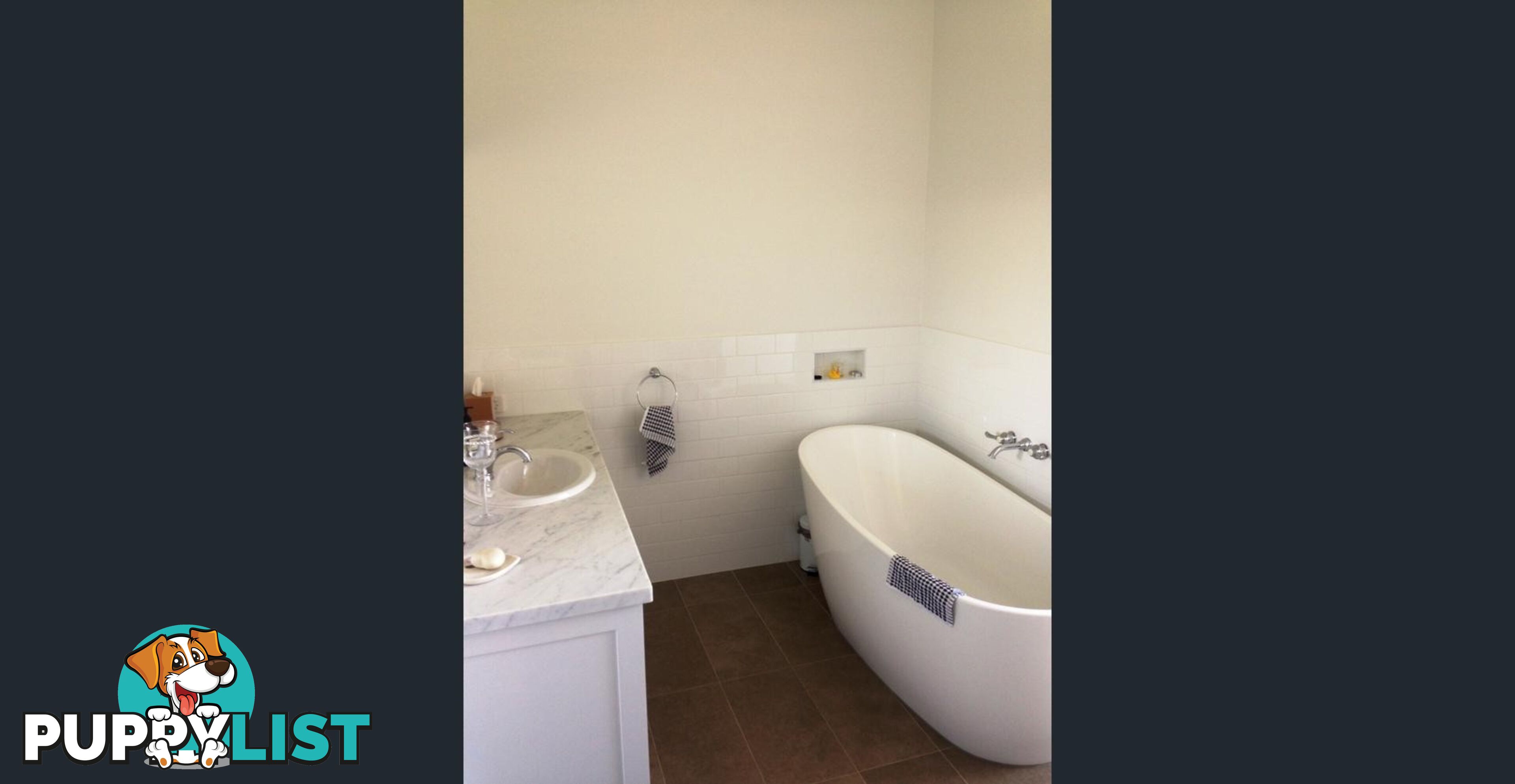 9 Somersby Court BIRKDALE QLD 4159
