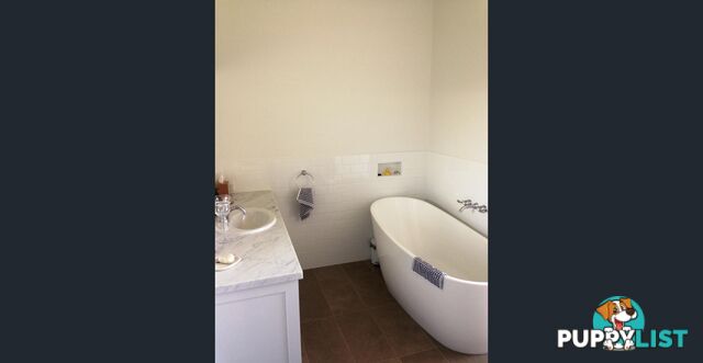 9 Somersby Court BIRKDALE QLD 4159