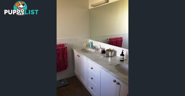 9 Somersby Court BIRKDALE QLD 4159
