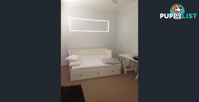 9 Somersby Court BIRKDALE QLD 4159