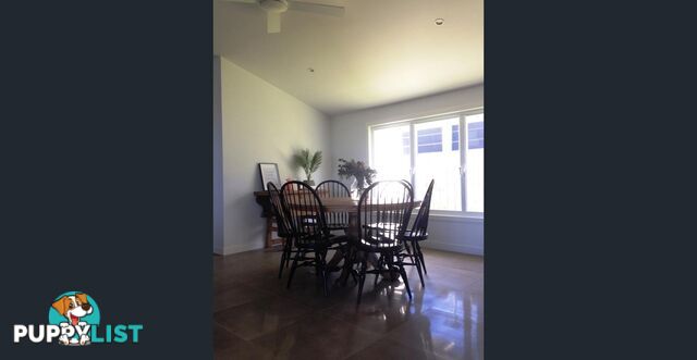 9 Somersby Court BIRKDALE QLD 4159