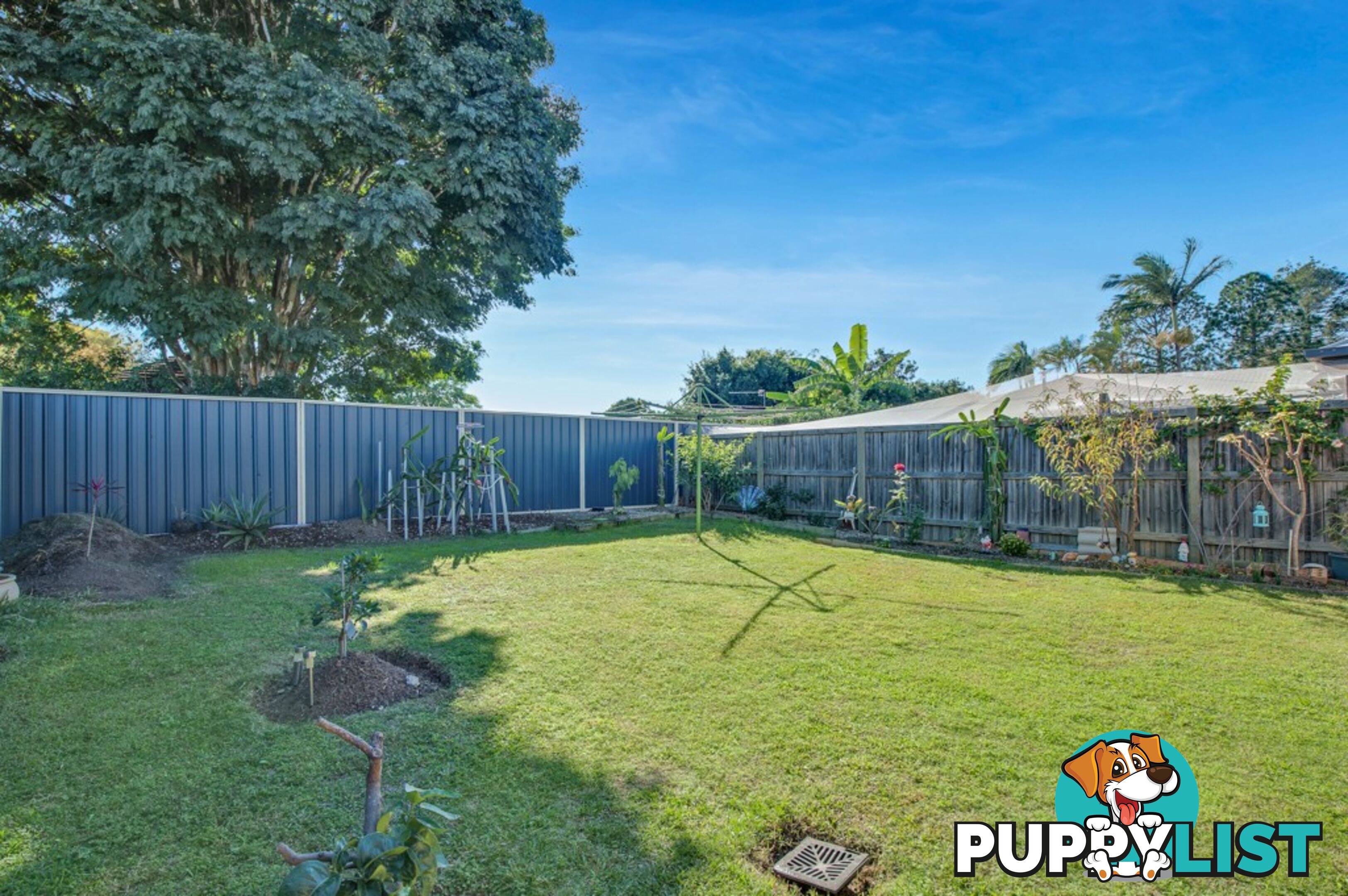 520 Old Cleveland Road East BIRKDALE QLD 4159