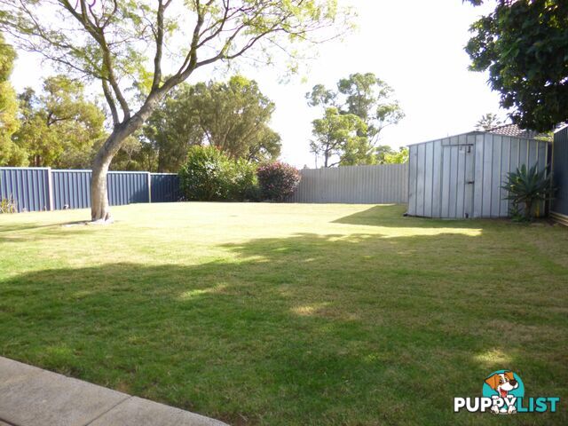 9 Tristram Gardens PARMELIA WA 6167