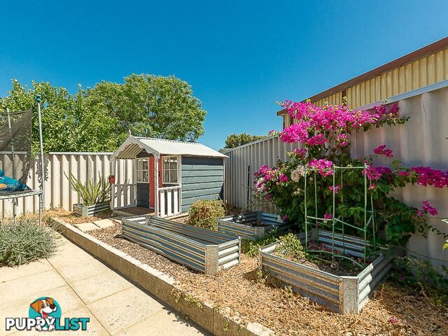 13 Perriam Close PARMELIA WA 6167