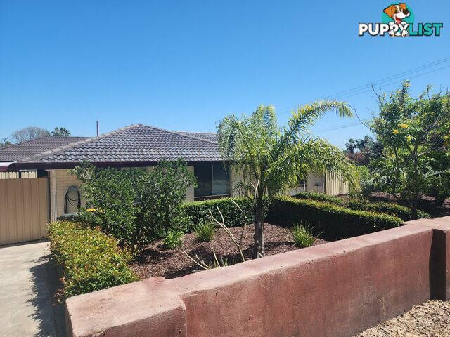 67 Sicklemore Avenue PARMELIA WA 6167