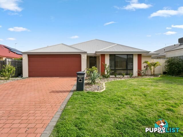 12 Catseye Cresent WELLARD WA 6170