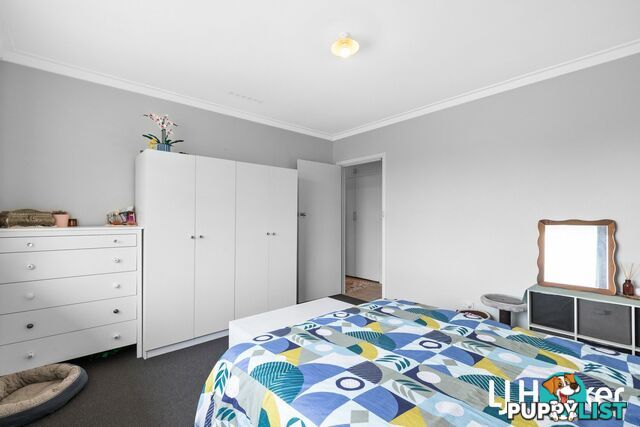 29 Hokin Street WAIKIKI WA 6169