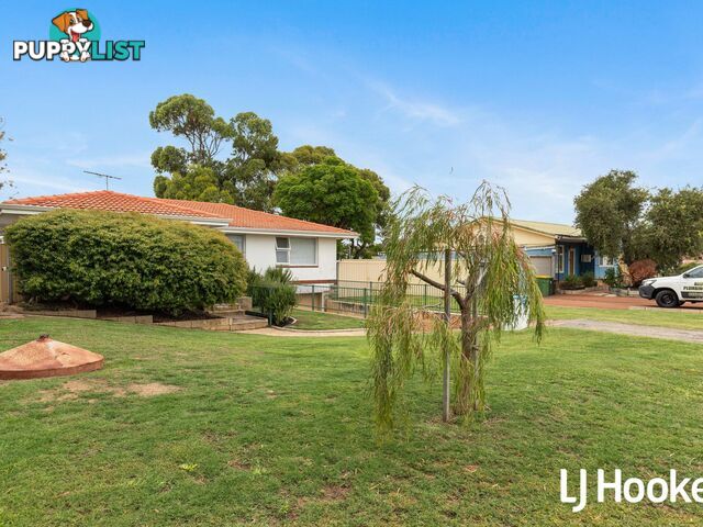 29 Hokin Street WAIKIKI WA 6169